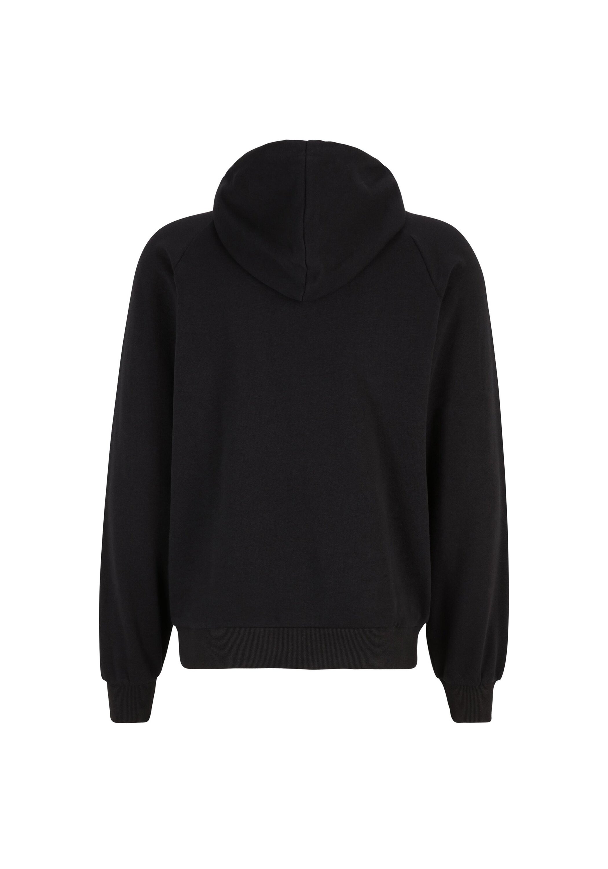Fila Sweatshirt »Sweatshirt BRAIVES raglan hoody«