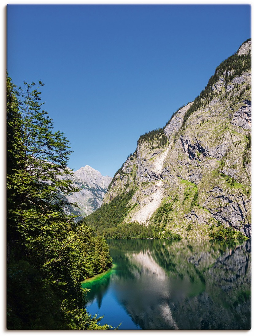 Artland bestellen Poster Leinwandbild, St.), in | versch. Wildtiere, »Das Alubild, Wandaufkleber (1 oder als BAUR Größen Wandbild Nashorn«,