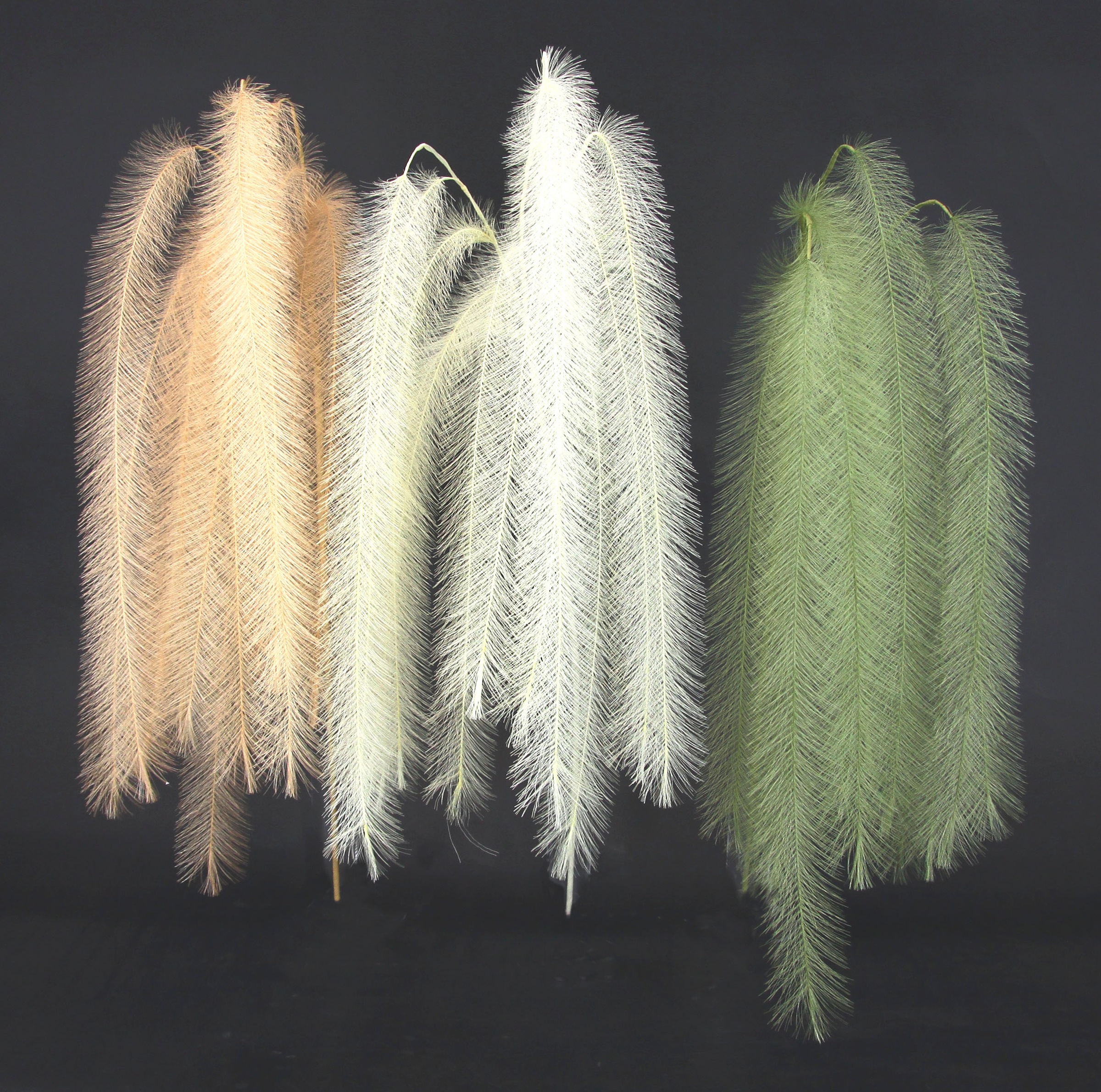 I.GE.A. Kunstpflanze »Federzweig« 3er Set