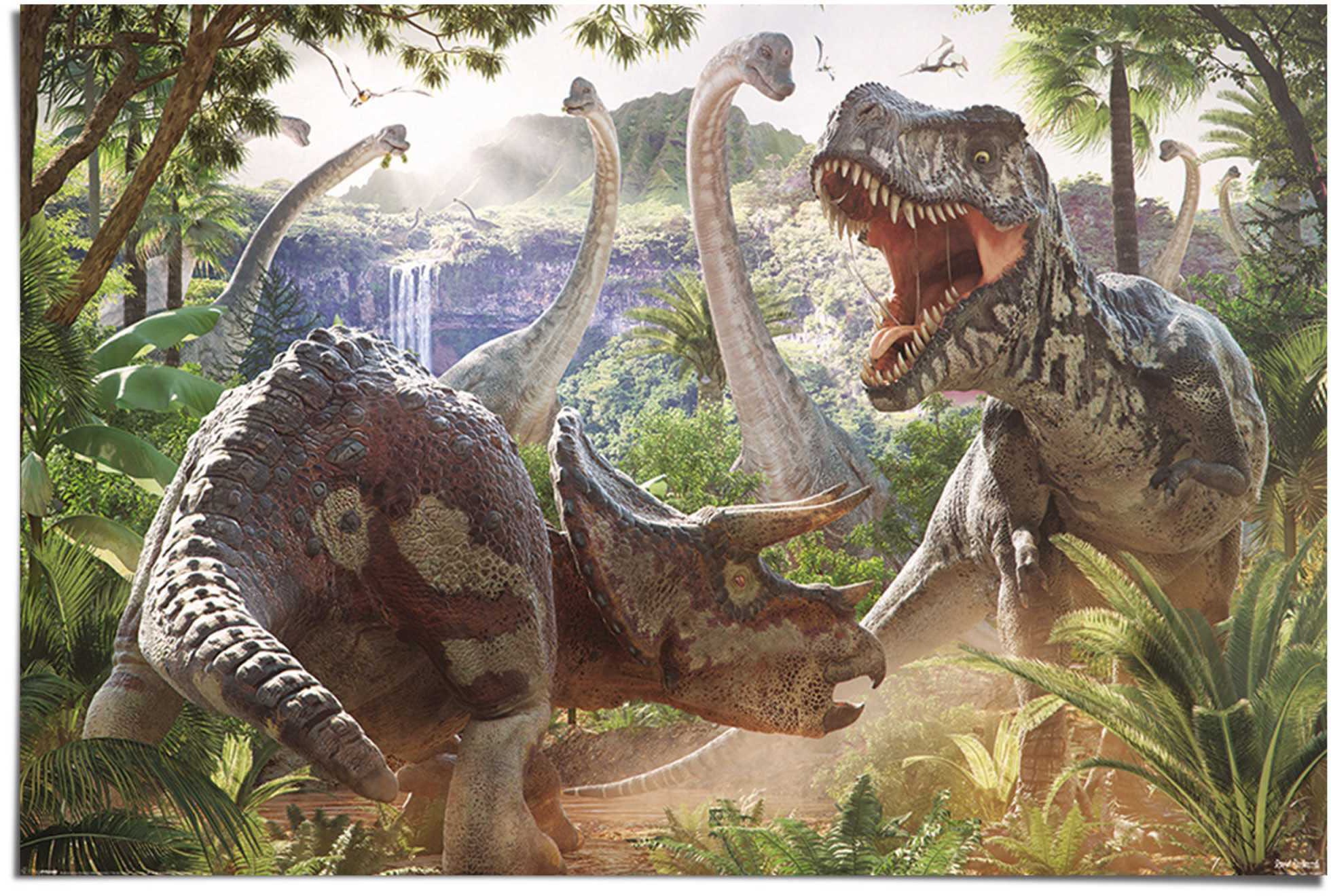 Reinders! Poster »Poster Kampf der Dinosaurier« ...