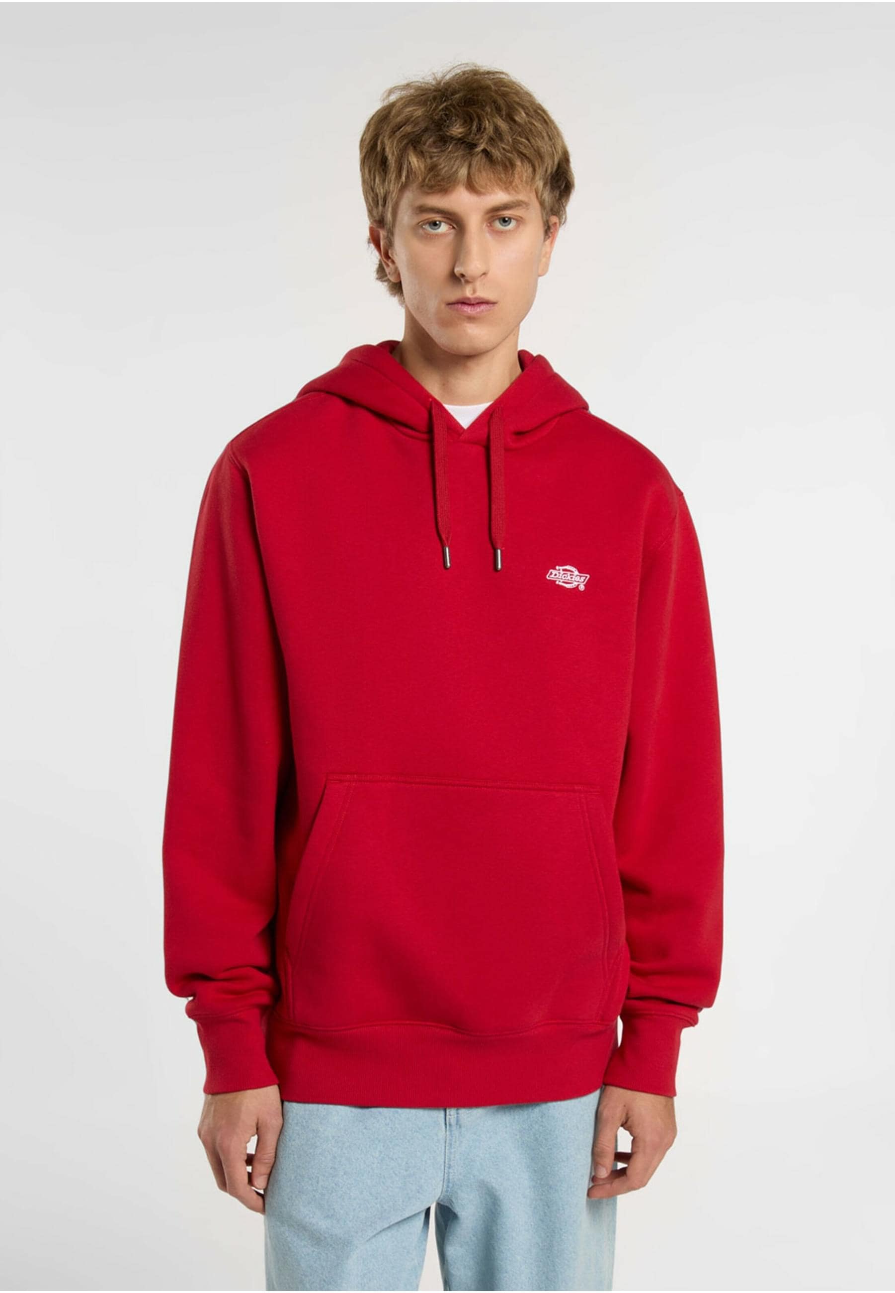Dickies Kapuzensweatshirt »Dickies Workwear Dickies Summerdale Hoodie«, (1 tlg.)