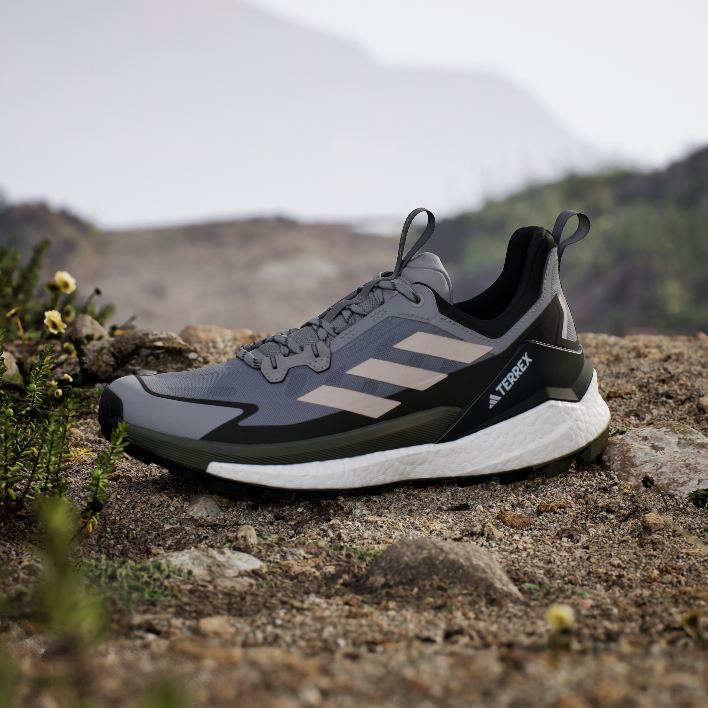 adidas TERREX Wanderschuh »TERREX FREE HIKER 2.0 LOW«