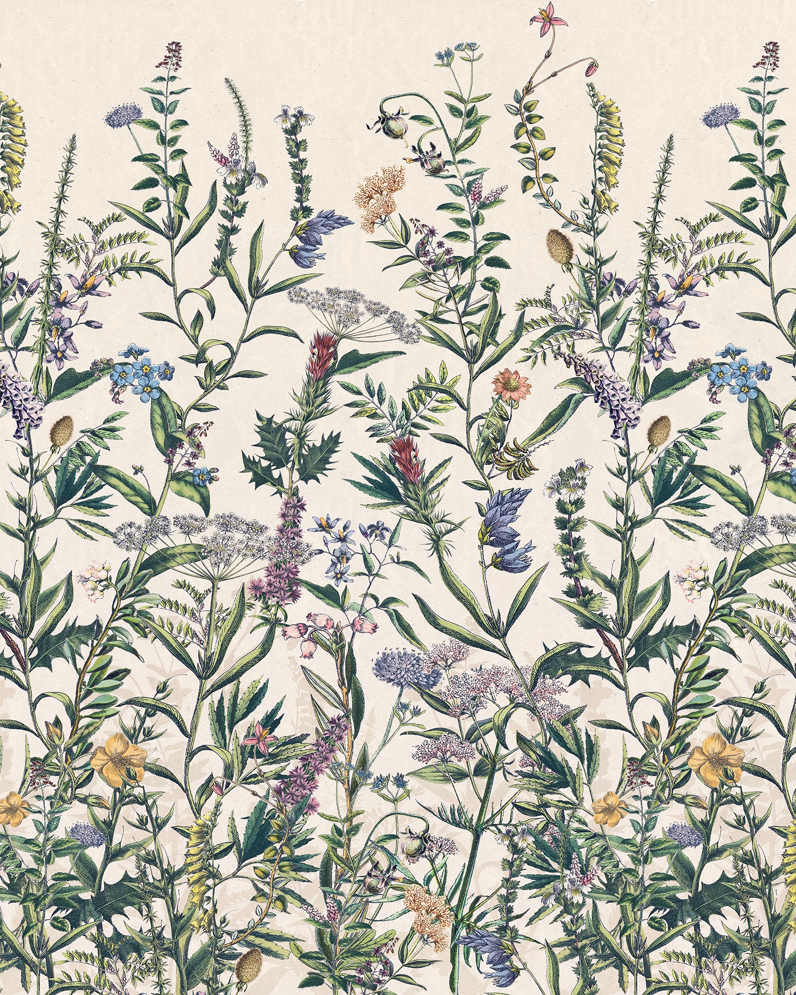 Komar Vliestapete "Digitaldruck Vlies - Flowering Herbs - Größe 200 x 250 cm" bedruckt glatt Wohnzimmer, Schlafzimmer