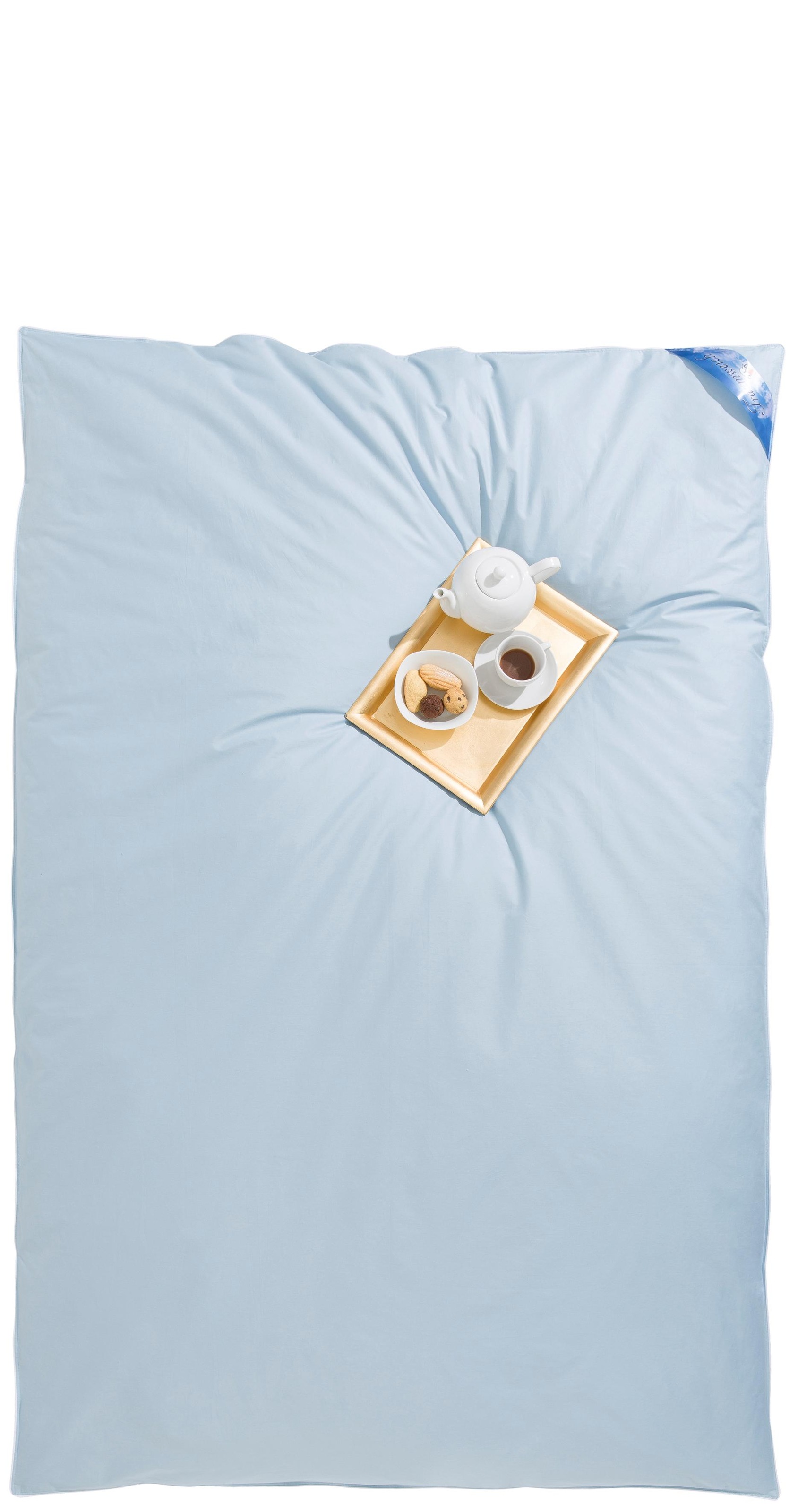 RIBECO Federbettdecke "Leon, Ballonbettdecke 135x200" extrawarm Füllung 100 günstig online kaufen