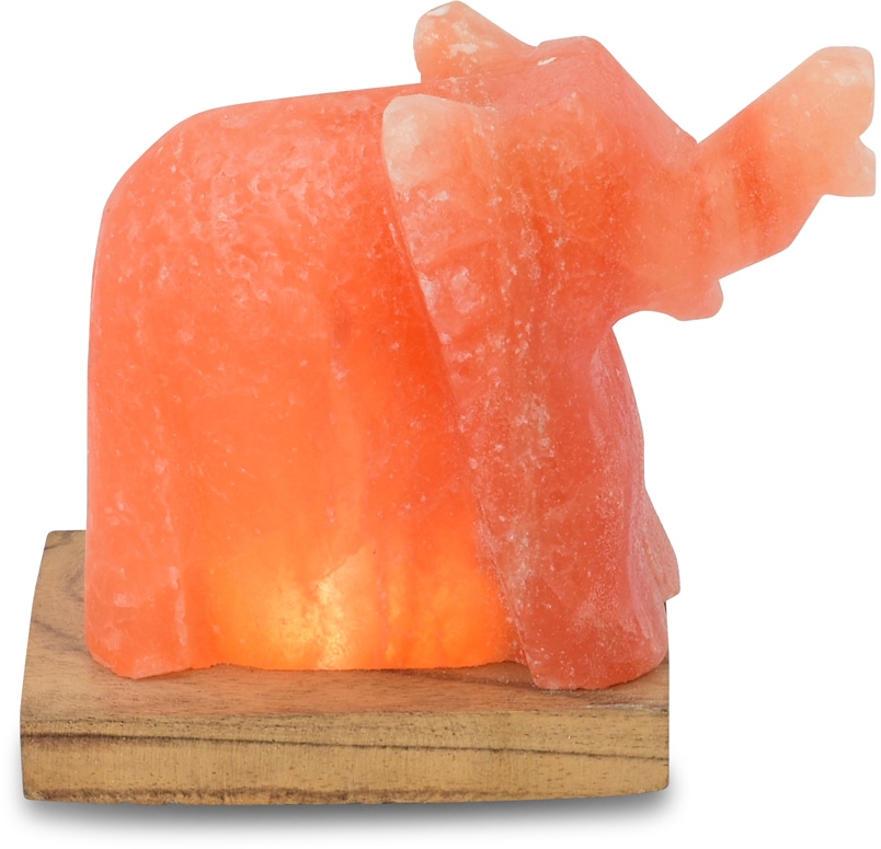 Salzkristall-Tischlampe "Elefant", Ø 7cm H: 11cm, 1 Stk., orange, HIMALAYA SALT DREAMS, Leuchten, Handgefertigt aus Salzkristall - jeder Stein ein