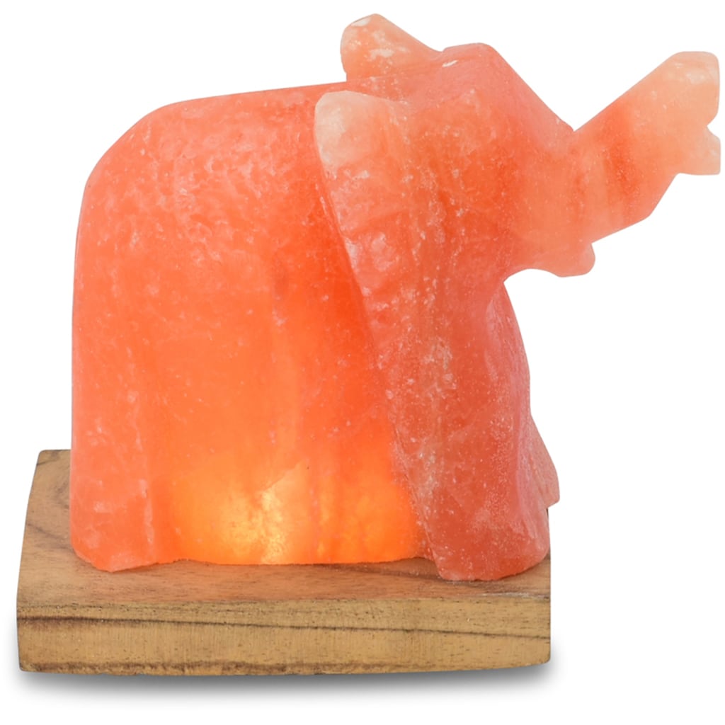 HIMALAYA SALT DREAMS Salzkristall-Tischlampe »Elefant«