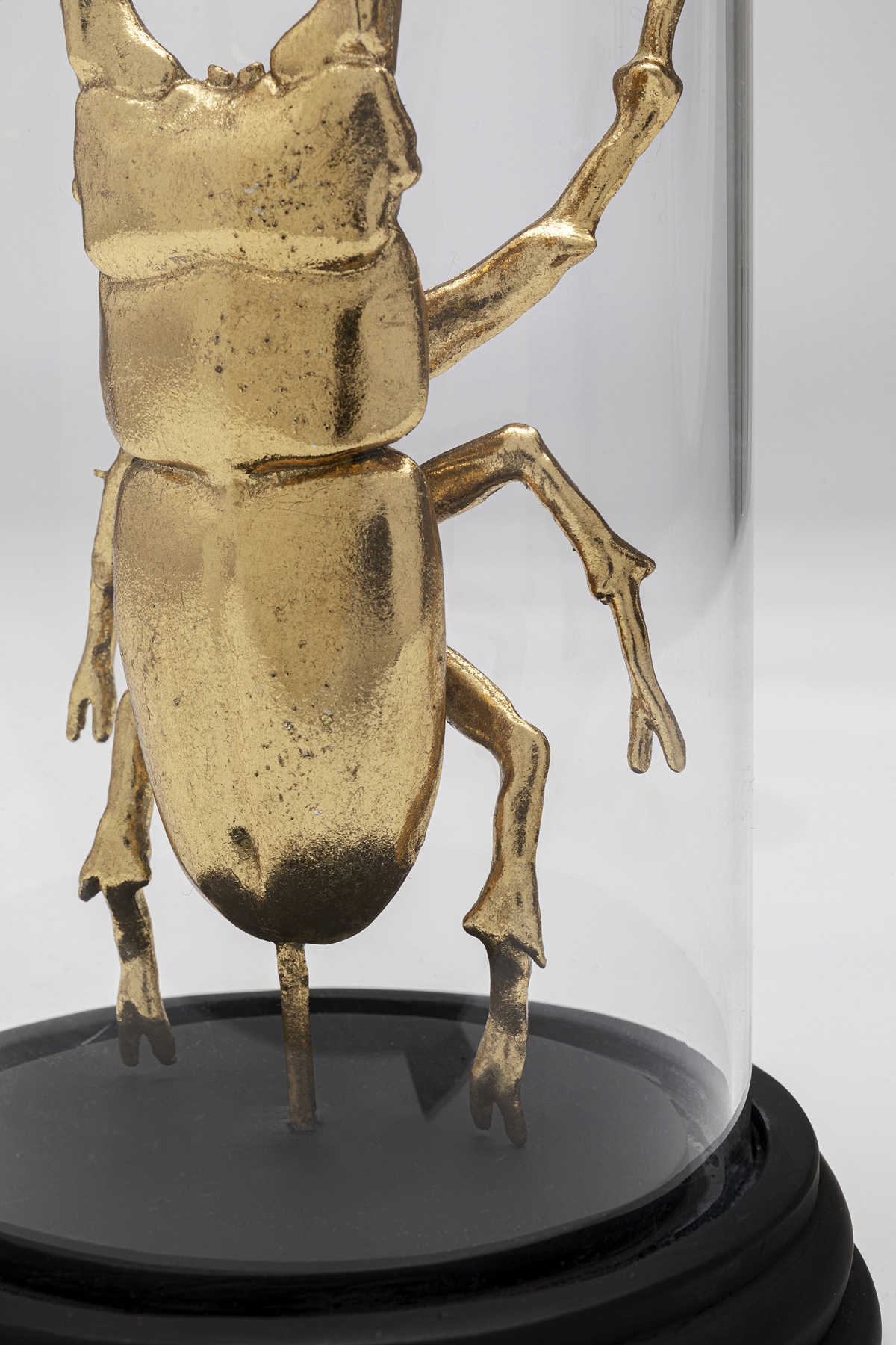 Kare Design Dekoobjekt »Hercules Beetle 20cm«