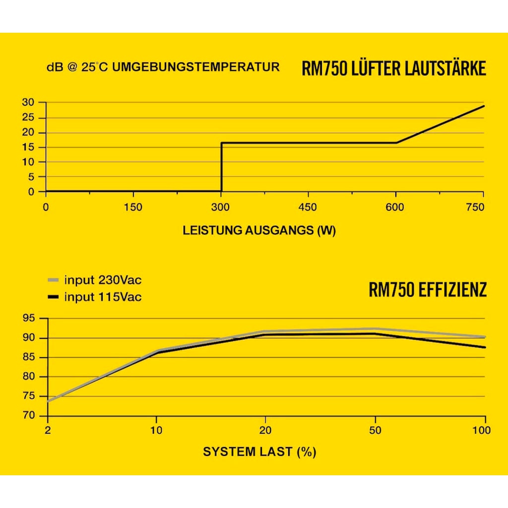 Corsair PC-Netzteil »RM750 80 PLUS Gold Fully Modular ATX Power Supply«, (1 St.)