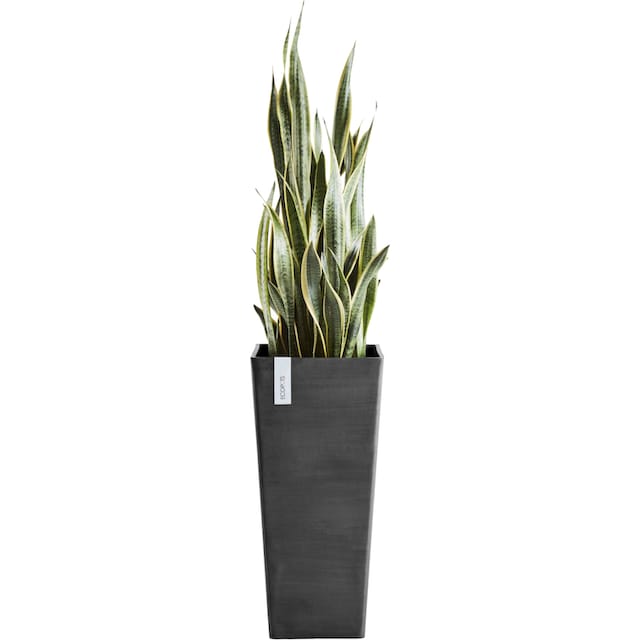 ECOPOTS Blumentopf »ROTTERDAM HIGH Dark Grey«, BxTxH: 32x32x70 cm bestellen  | BAUR