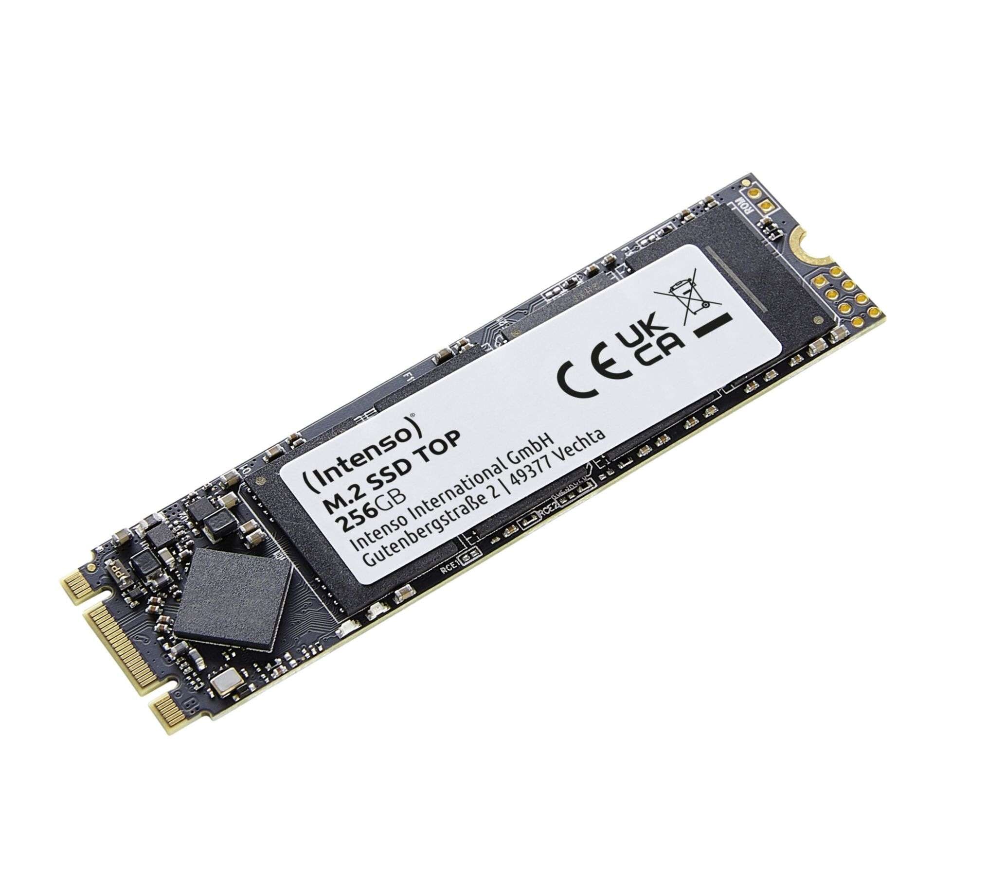 Intenso interne SSD »Top 256GB«, Anschluss M.2 (2880)