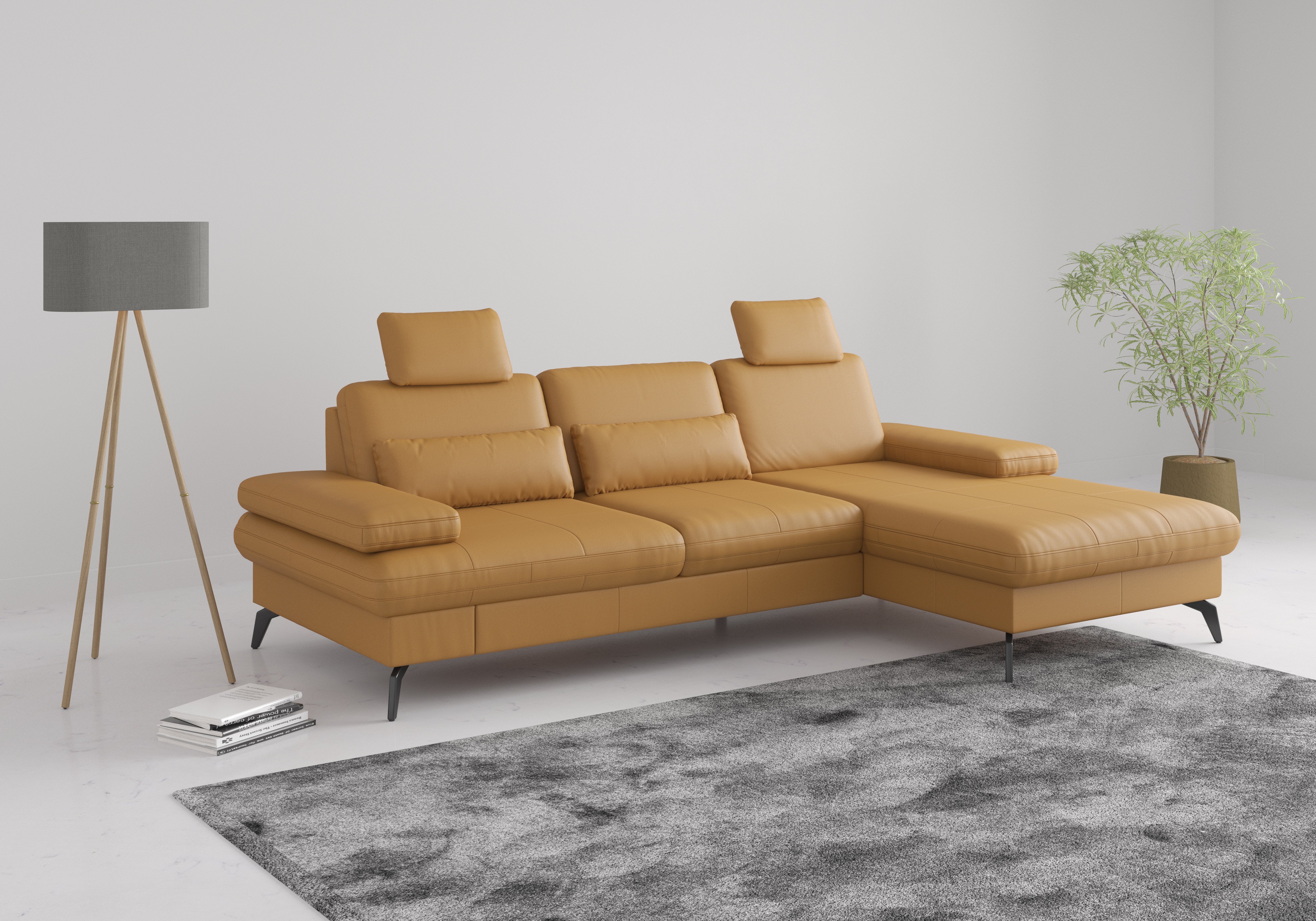 sit&more Ecksofa "Morris L-Form, inkl. Sitztiefenverstellung" wahlweise mit Armteilverstellung, Schlaffunktion & Bettkasten