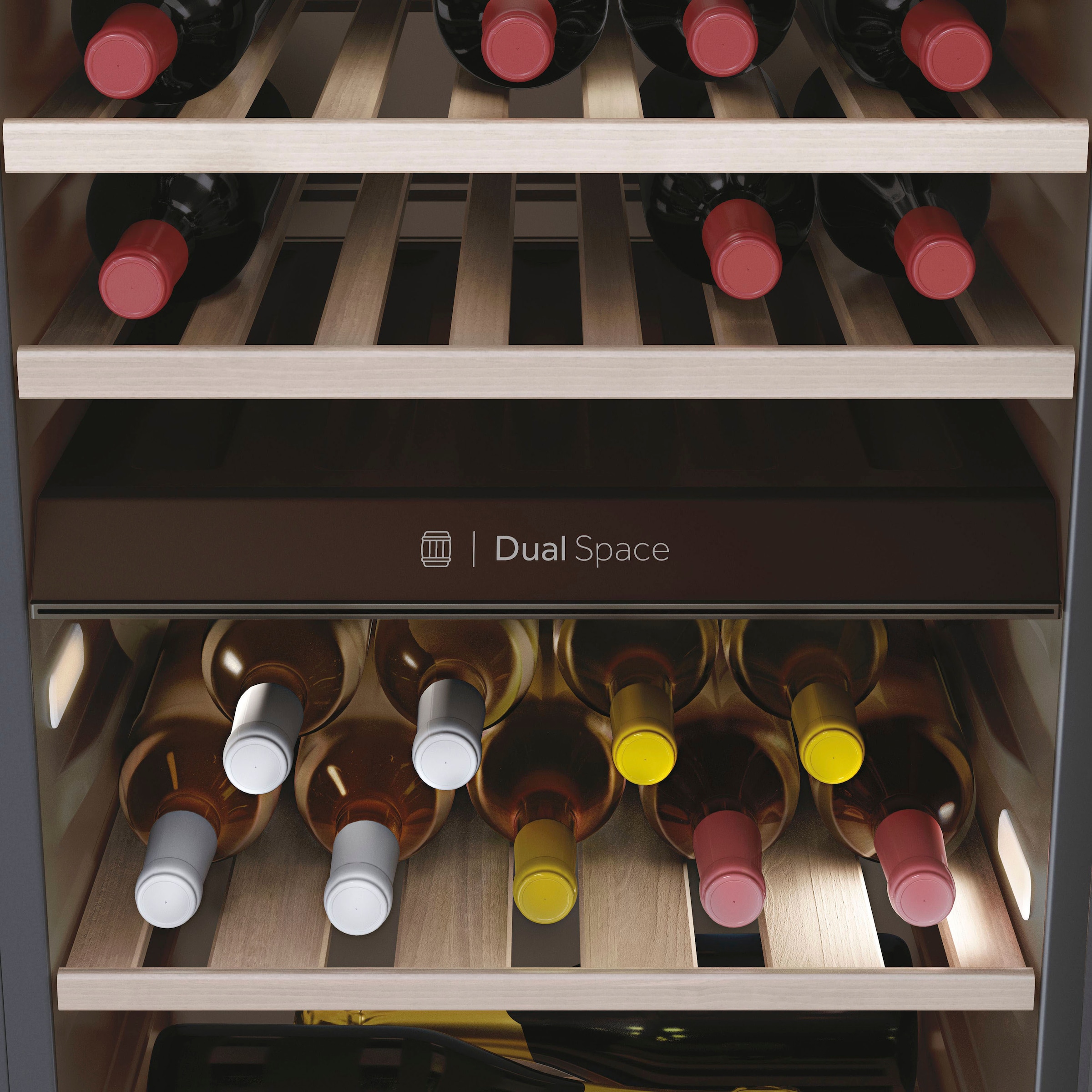 Haier Weinkühlschrank »HWS42DGAU1«, 42 für bestellen á BAUR | 075l Standardflaschen online