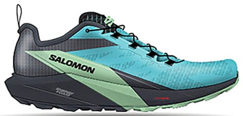 Salomon Trailrunningschuh »SENSE RIDE 5 GORE-TEX® W«, wasserdicht, Trailrunningschuhe