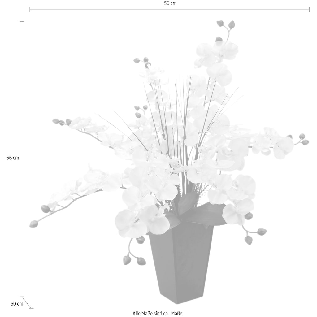 I.GE.A. Kunstpflanze »Phalaenopsis im Topf«
