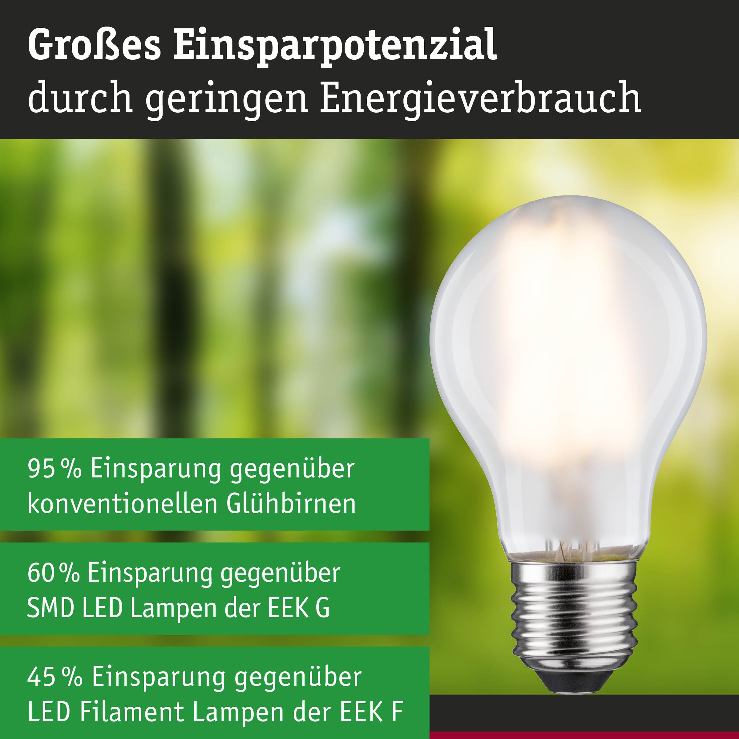 Paulmann LED-Leuchtmittel »Efficient-Line Filament 230V LED Birne E27 1er-Set 840lm 4W 3000K Matt« E27 1 Stk. Warmweiß