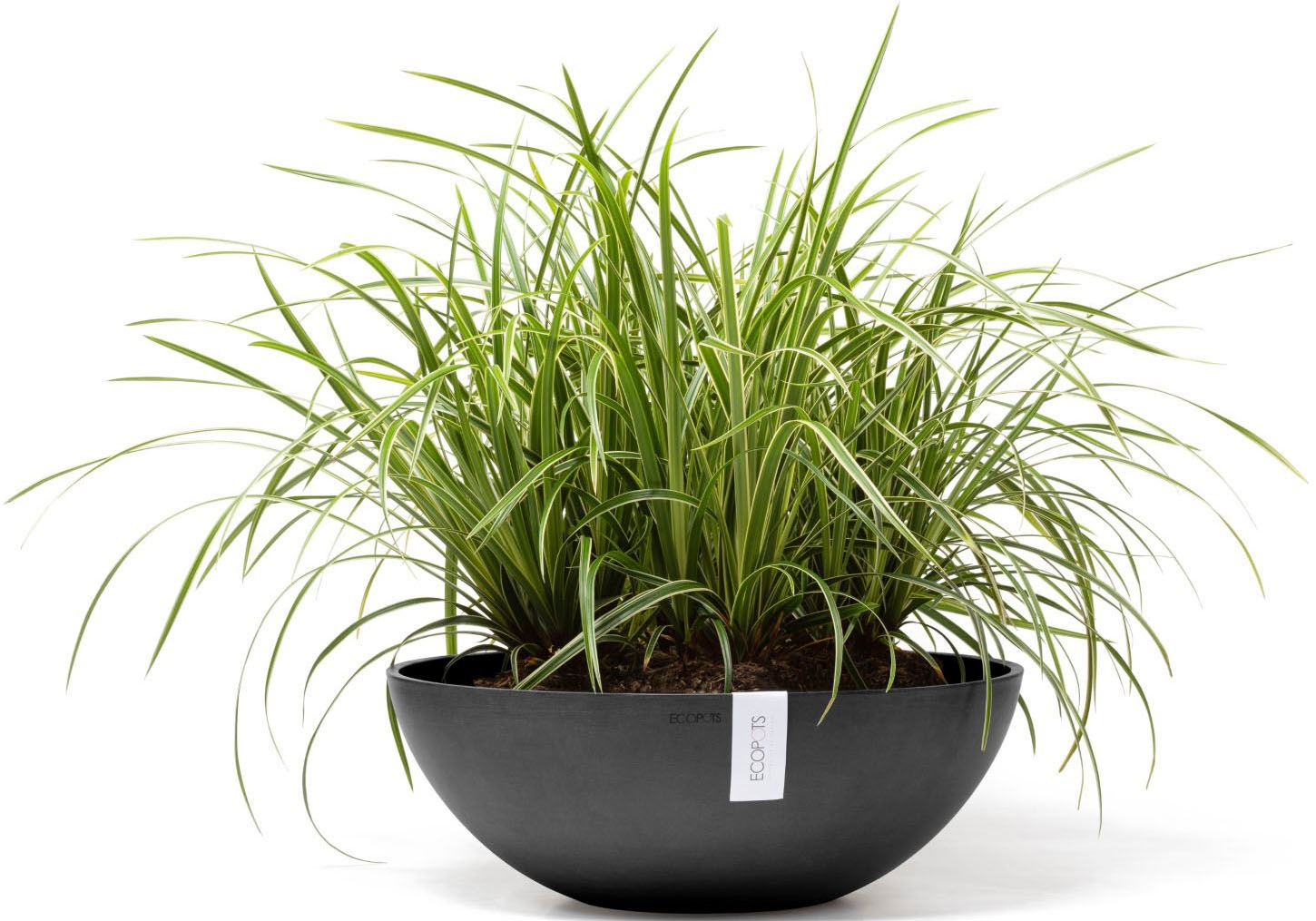 ECOPOTS Blumentopf »Vienna 50 Dunkelgrau« für innen und außen: frostsicher, bruchsicher und lichtbeständig