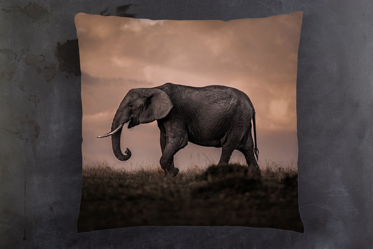 queence Dekokissen »Afrikanische Steppe«, Kissenhülle mit HD Premium Druck, geruchsneutral, 40x40cm