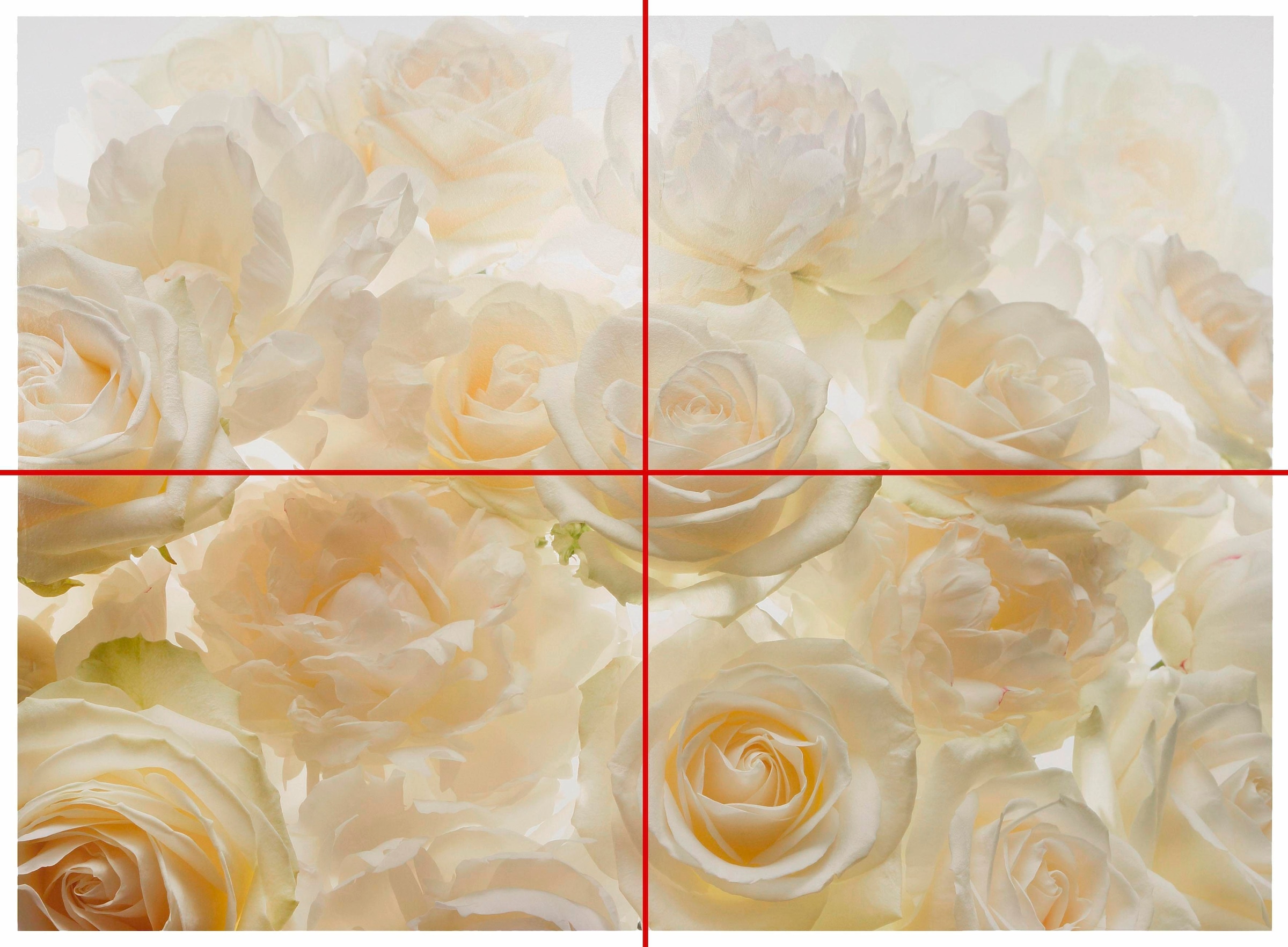 Komar Vliestapete »Vlies  - Shalimar - Größe 368 x 248 cm« bedruckt glatt Wohnzimmer, Schlafzimmer