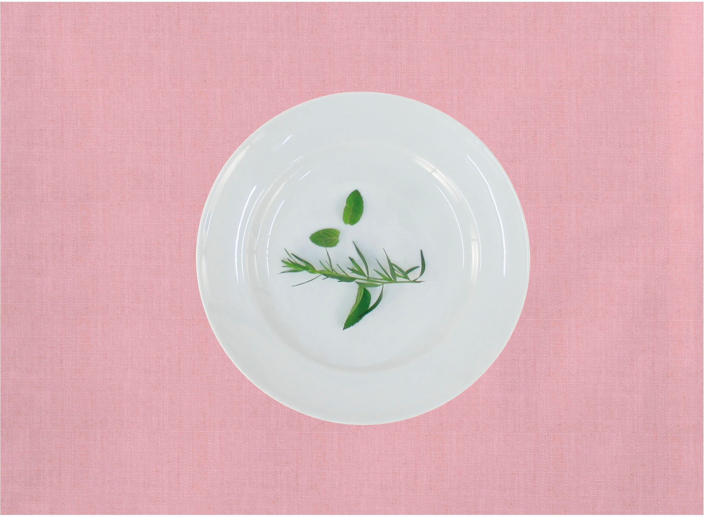 APELT Platzset "Arizona, Uni-Basic" Leinenoptik günstig online kaufen