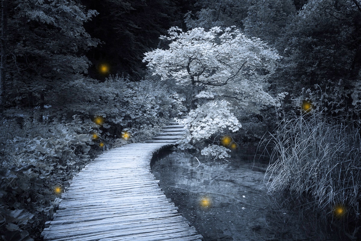 Papermoon Fototapete "Steg über Teich Schwarz & Weiß" günstig online kaufen