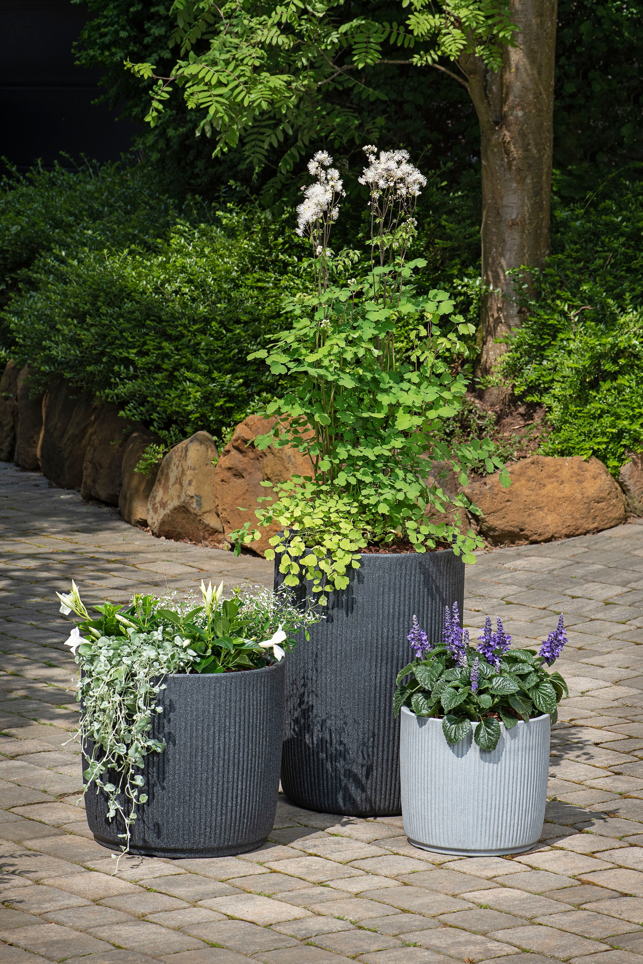 Scheurich Pflanzkübel »40/259 Linetto« dickwandiger Topf aus hochwertigem Kunststoff, ØxH: 38,6x35,3 cm