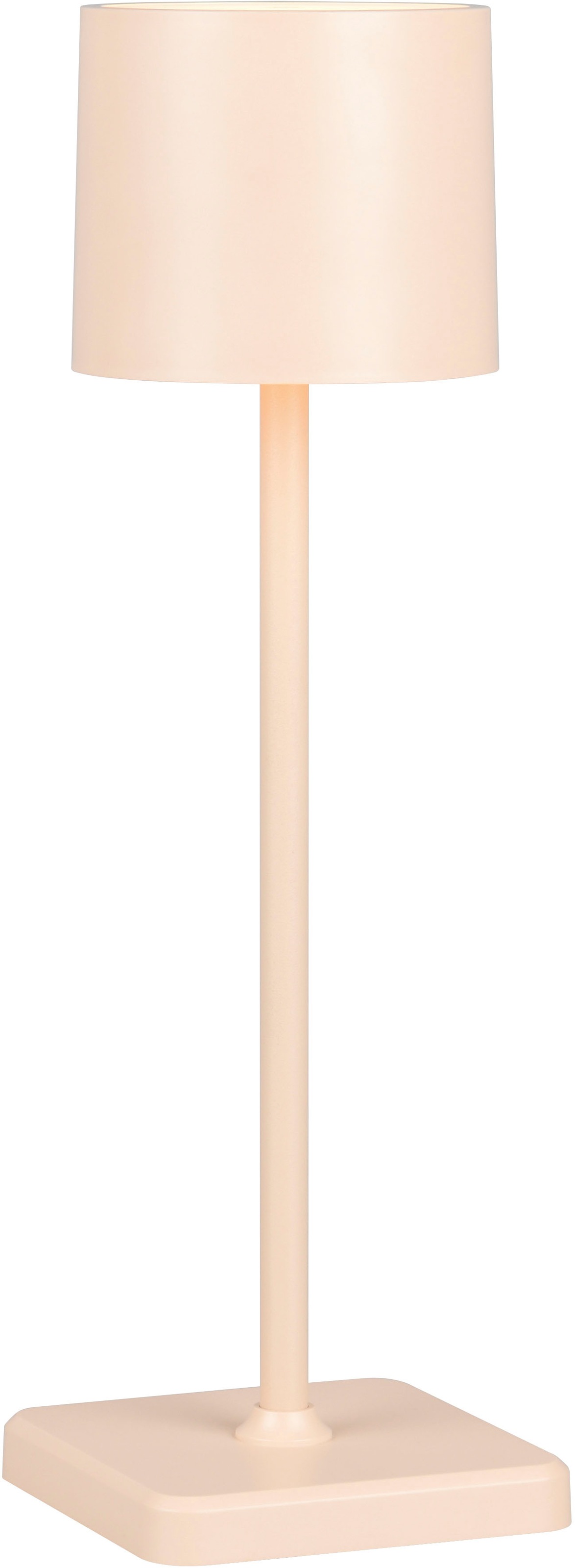 REALITY Leuchten »Fernandez« LED-Board 1 Stk. Farbwechsler | warmweiß - kaltweiß Garten Akku Tischlampe USB Ladestation dimmbar Lichtfarbe einstellbar