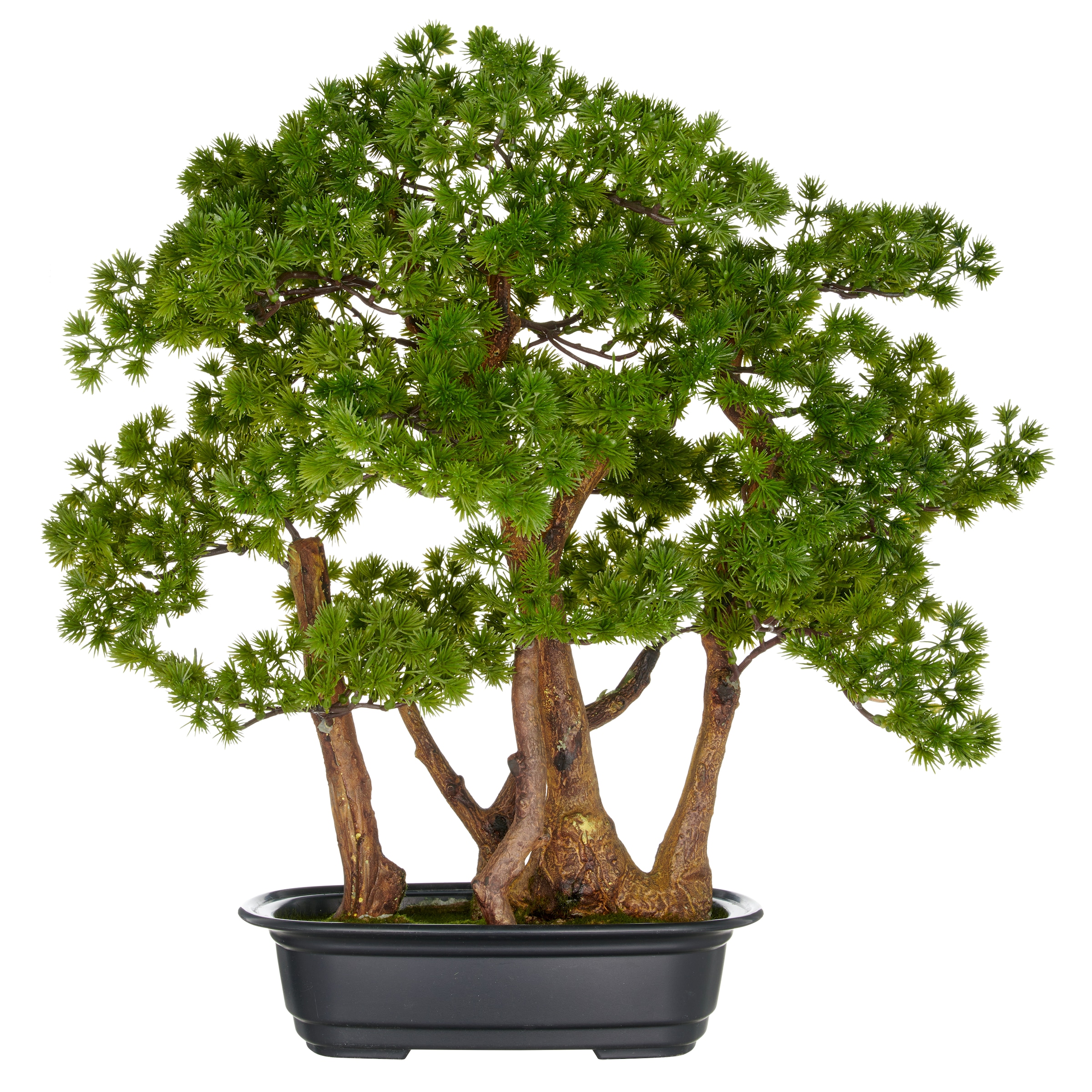 Creativ green Kunstbonsai "Bonsai Larix", mit detailgetreuer Gestaltung günstig online kaufen