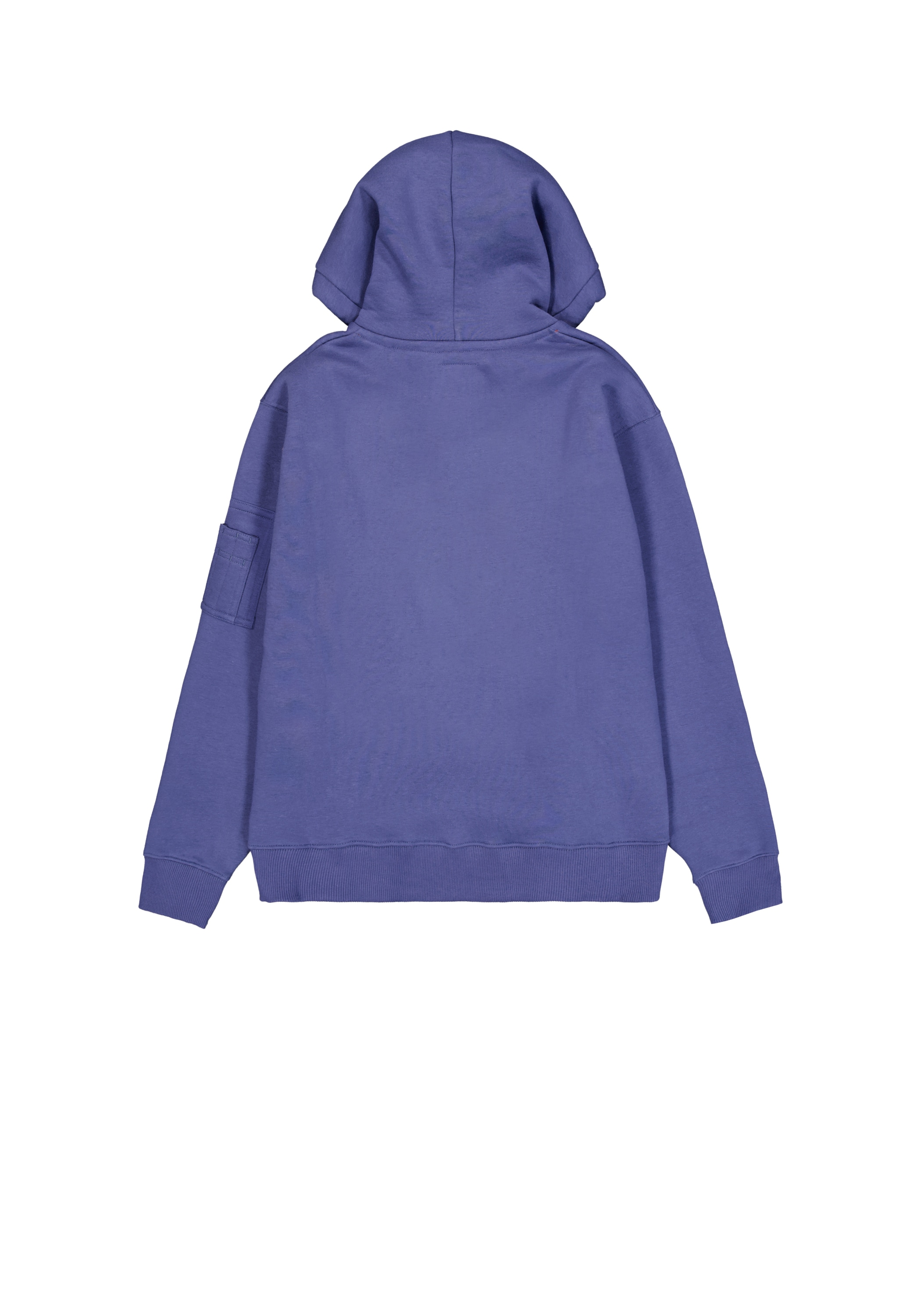 Alpha Industries Hoodie »Alpha Industries Men - Hoodies Alpha Puff Print Hoodie«