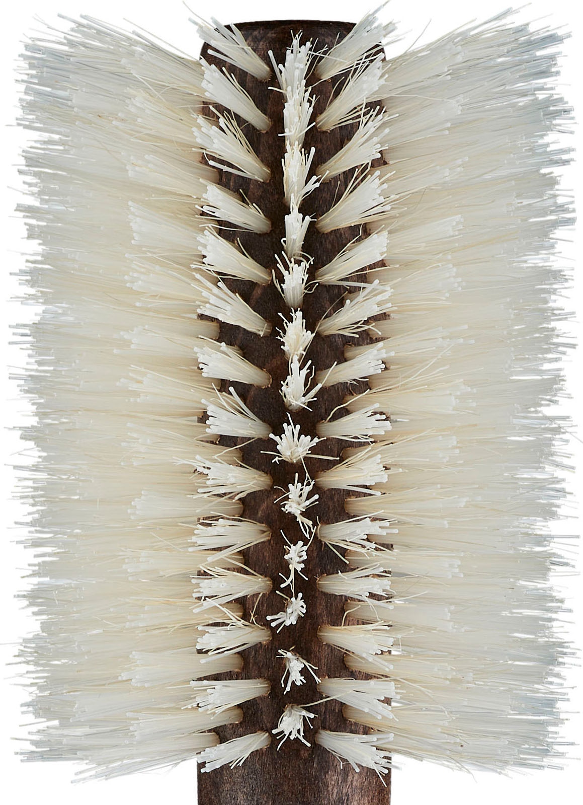 Regincós Rundbürste »e.CORK Blonde«