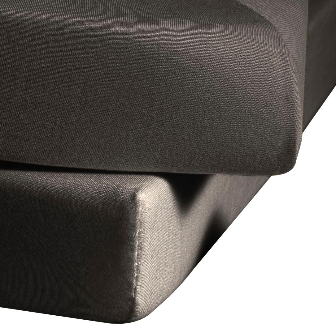 fleuresse Spannbettlaken "Comfort" langlebig & bügelfrei,Perfekte Passform günstig online kaufen