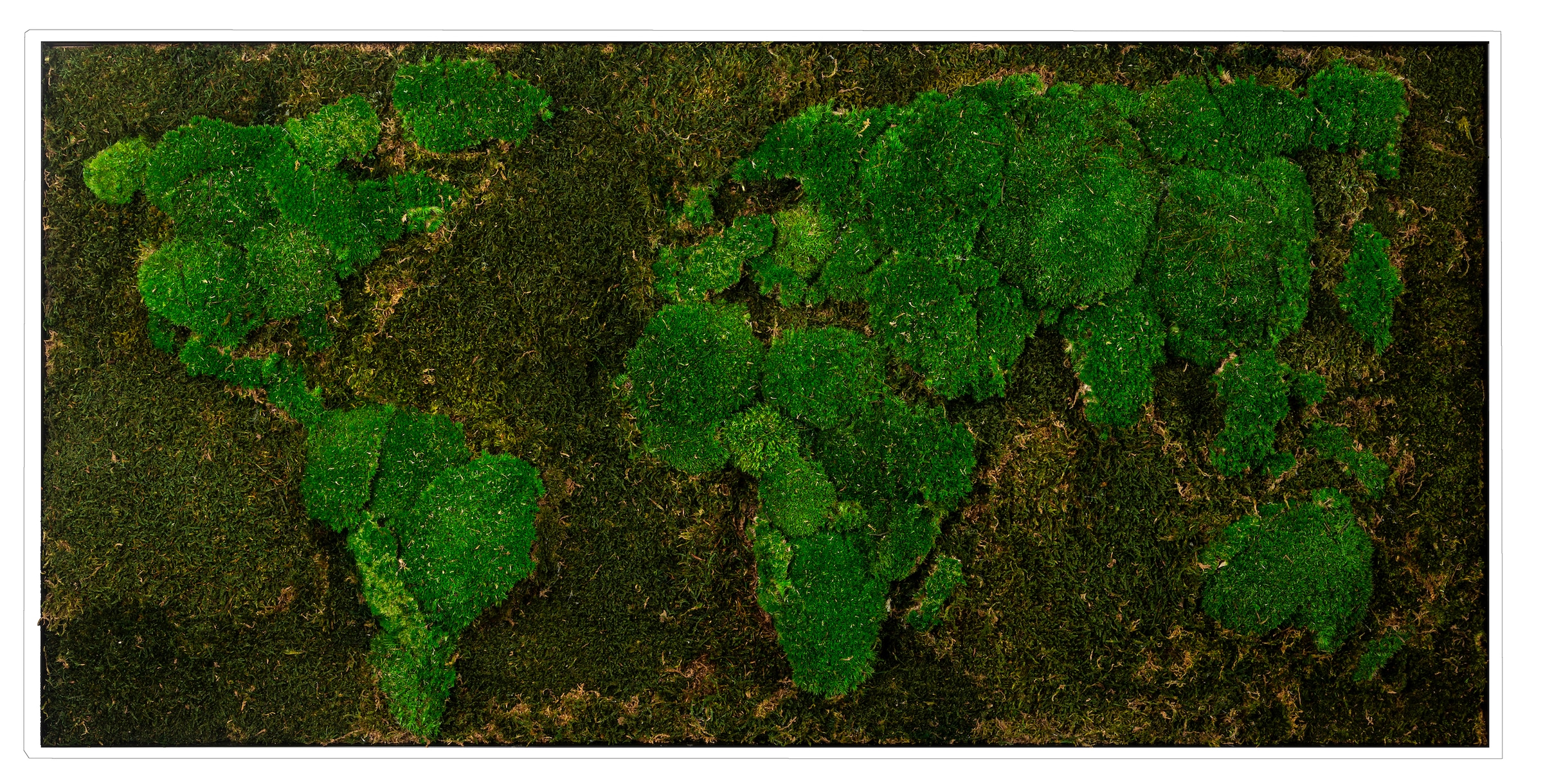 Bild mit Rahmen »Moos«, Weltkarte, (1 St.), jedes Bild ein Unikat, BxH: 120x60 cm