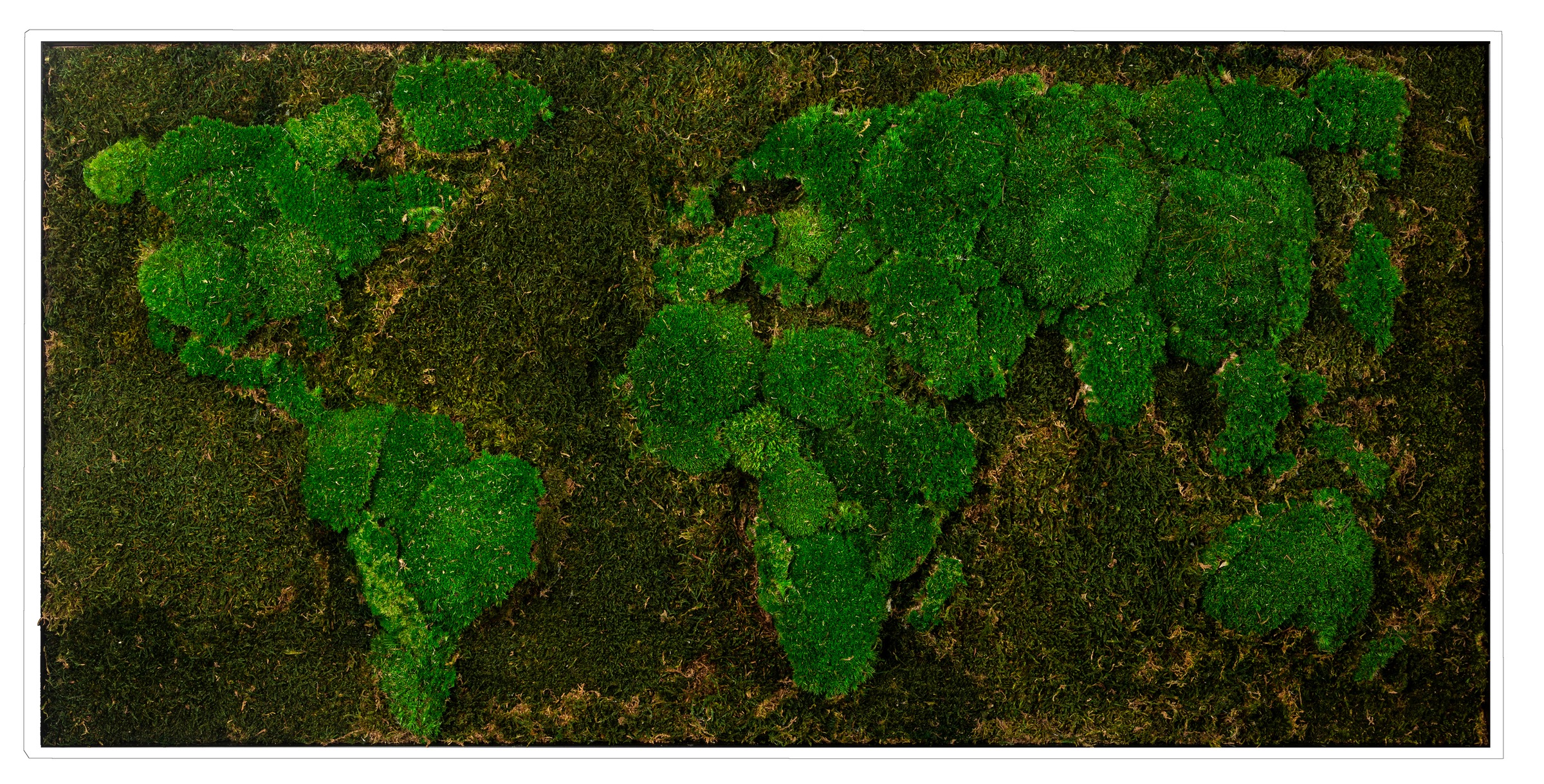 Bönninghoff Bild mit Rahmen "Moosbild "Weltkarte" 60x120 cm, weißer Rahmen" 1 Stk. tlg. handgefertigt, jedes Bild ein Unikat