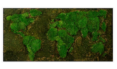 Bild mit Rahmen »Moos«, Weltkarte, (1 St.)