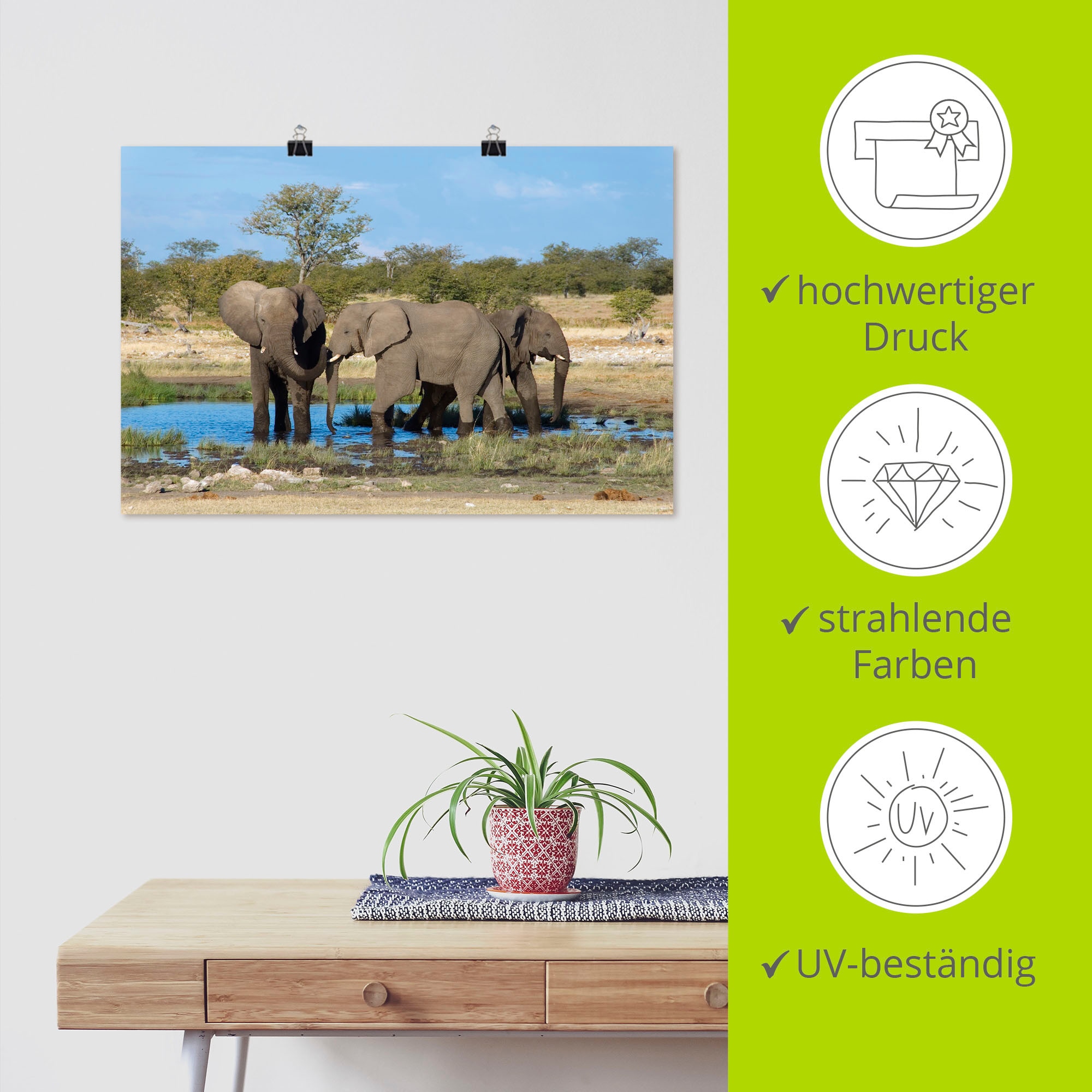 Artland Wandbild »Afrikanischer Elefant EtoshaNationalpark«, Elefanten Bilder, (1 St.), als Leinwandbild, Wandaufkleber in verschied. Größen