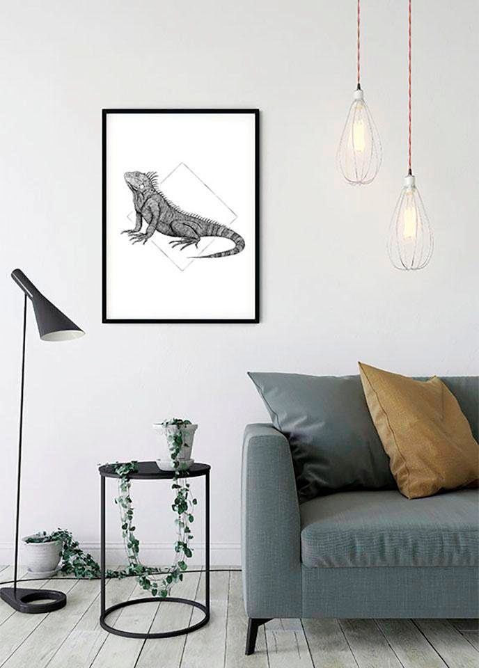 Komar Poster "Iguana White", Tiere, (1 St.), Kinderzimmer, Schlafzimmer, Wohnzimmer