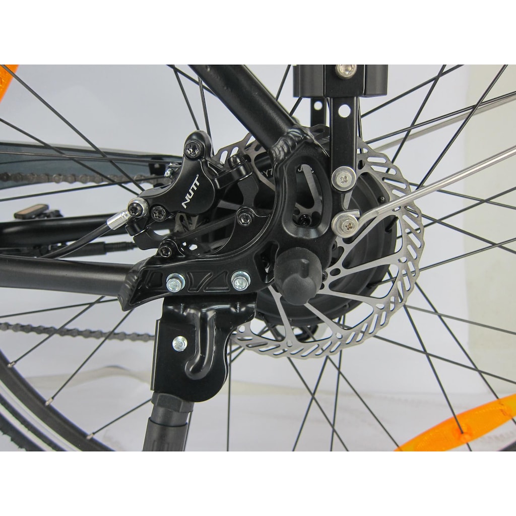 Maxtron E-Bike »MT 12«, 8 Gang, Shimano, Altus, Heckmotor 250 W