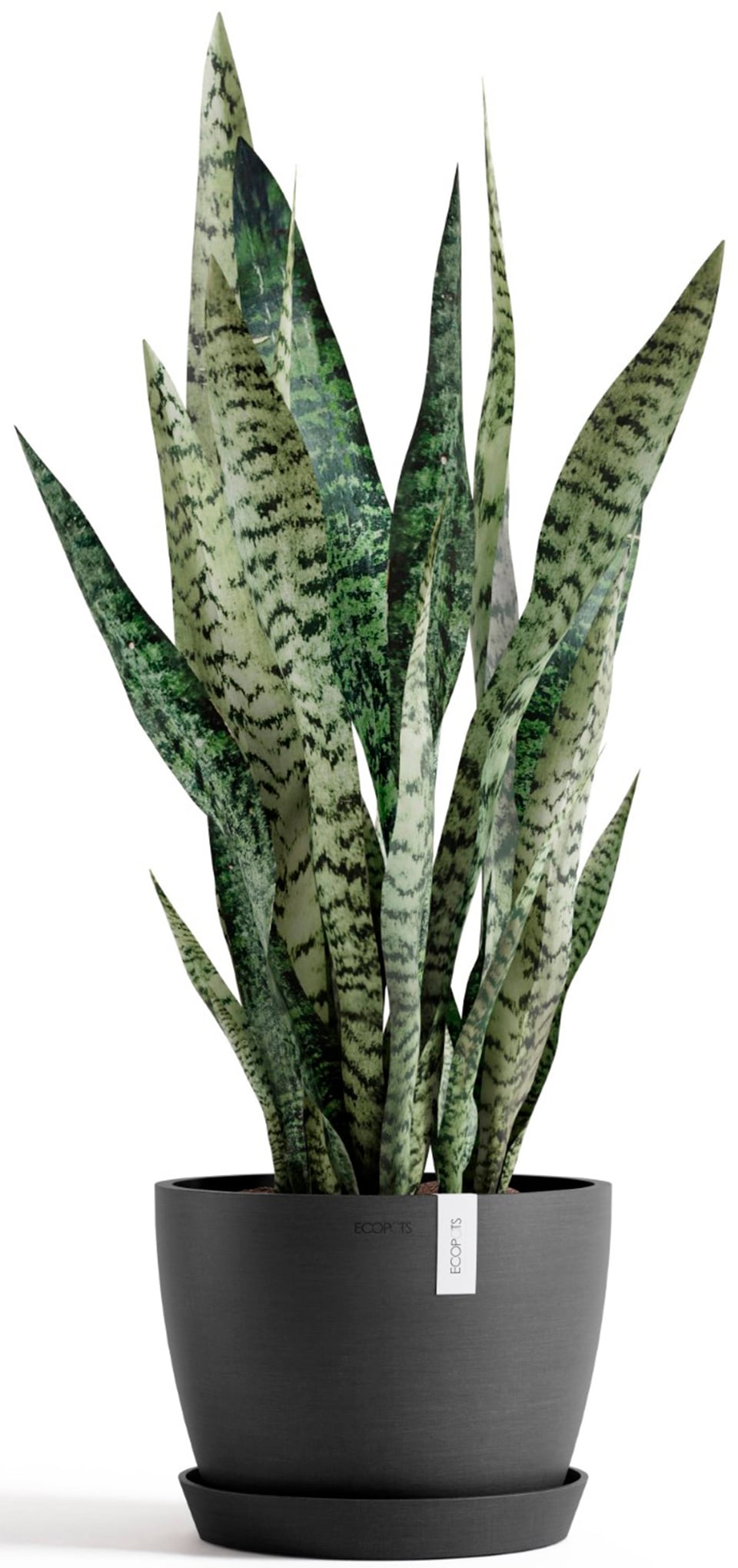 ECOPOTS Blumentopf »Stockholm 24 Dunkelgrau«, für innen und außen: frostsicher, bruchsicher und lichtbeständig