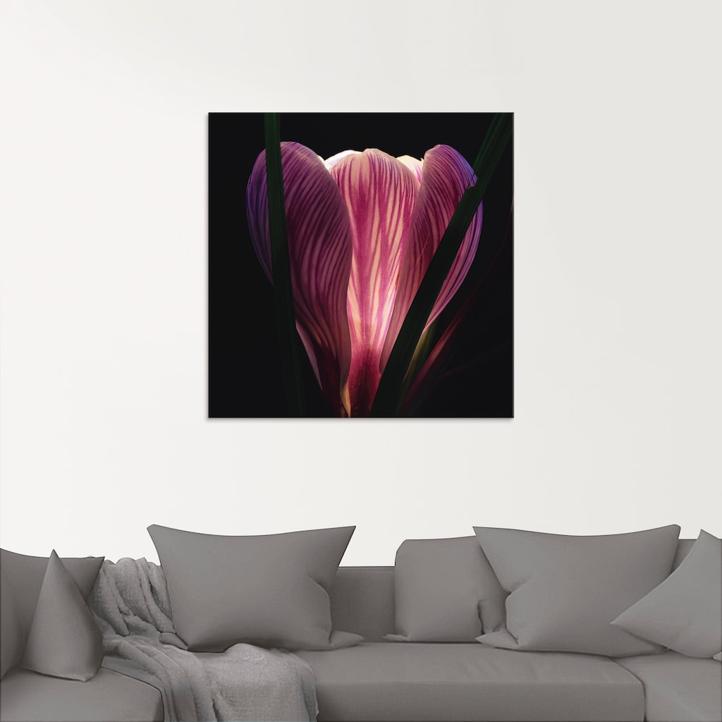 Artland Glasbild »Beleuchtet«, Blumen, (1 St.)