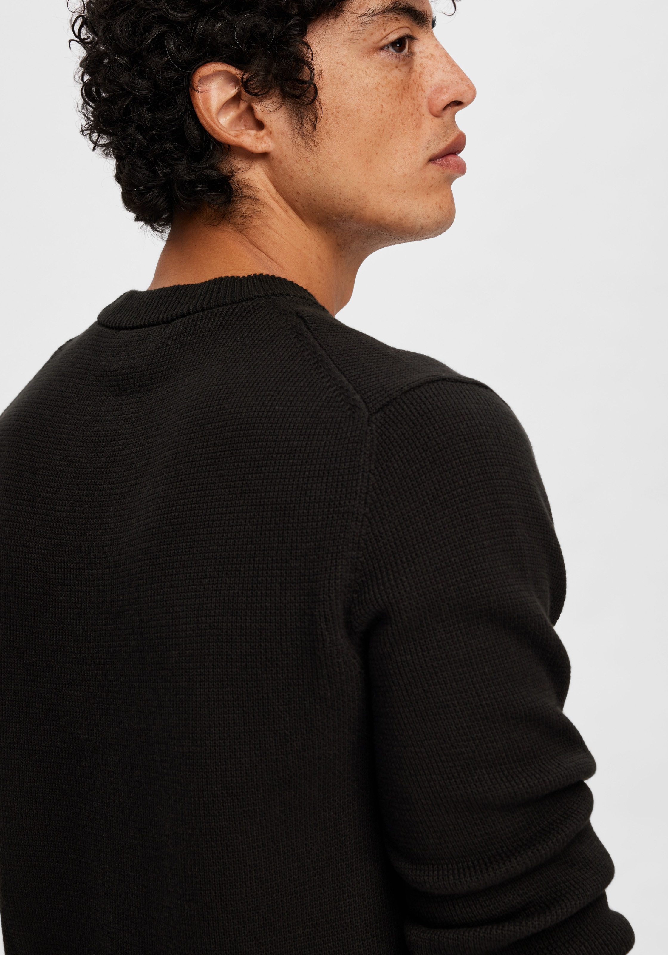 SELECTED HOMME Rundhalspullover »SLHDANE LS KNIT STRUCTURE CREW NECK NOOS«