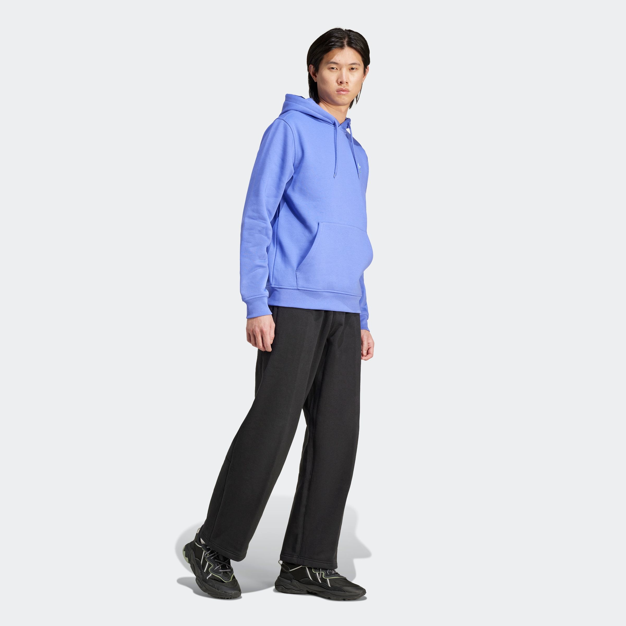 adidas Originals Kapuzensweatshirt »ESS HD«, Basic Hoodie, Kapuzenpullover mit Logo