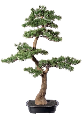 Kunstbonsai »Bonsai Zeder«