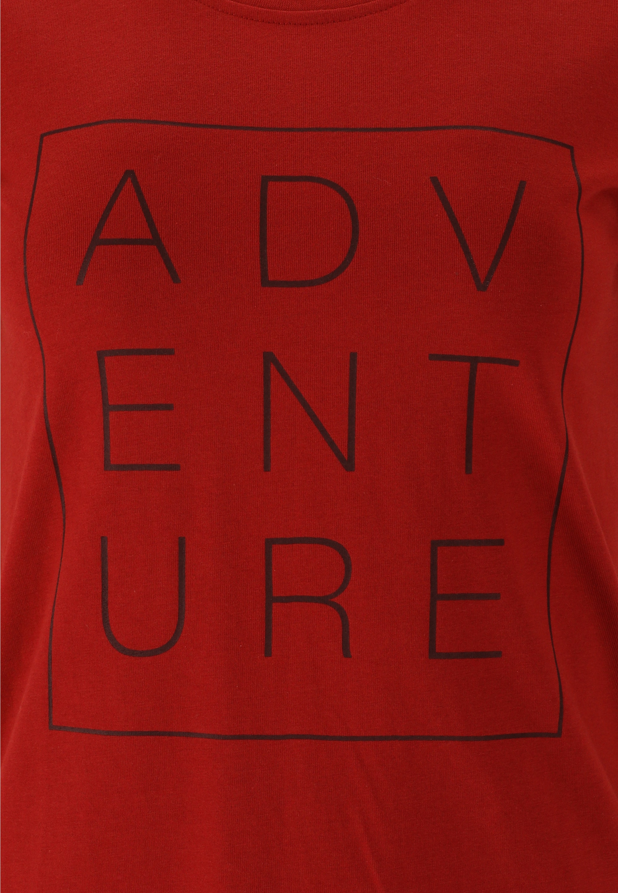 WHISTLER T-Shirt »Pine«, (1 tlg.), mit trendigem Frontprint