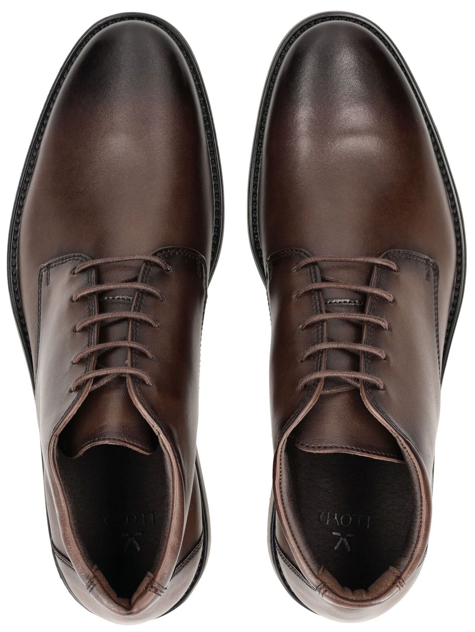 Lloyd Schnürschuh »LLOYD Businessschuhe Glattleder«