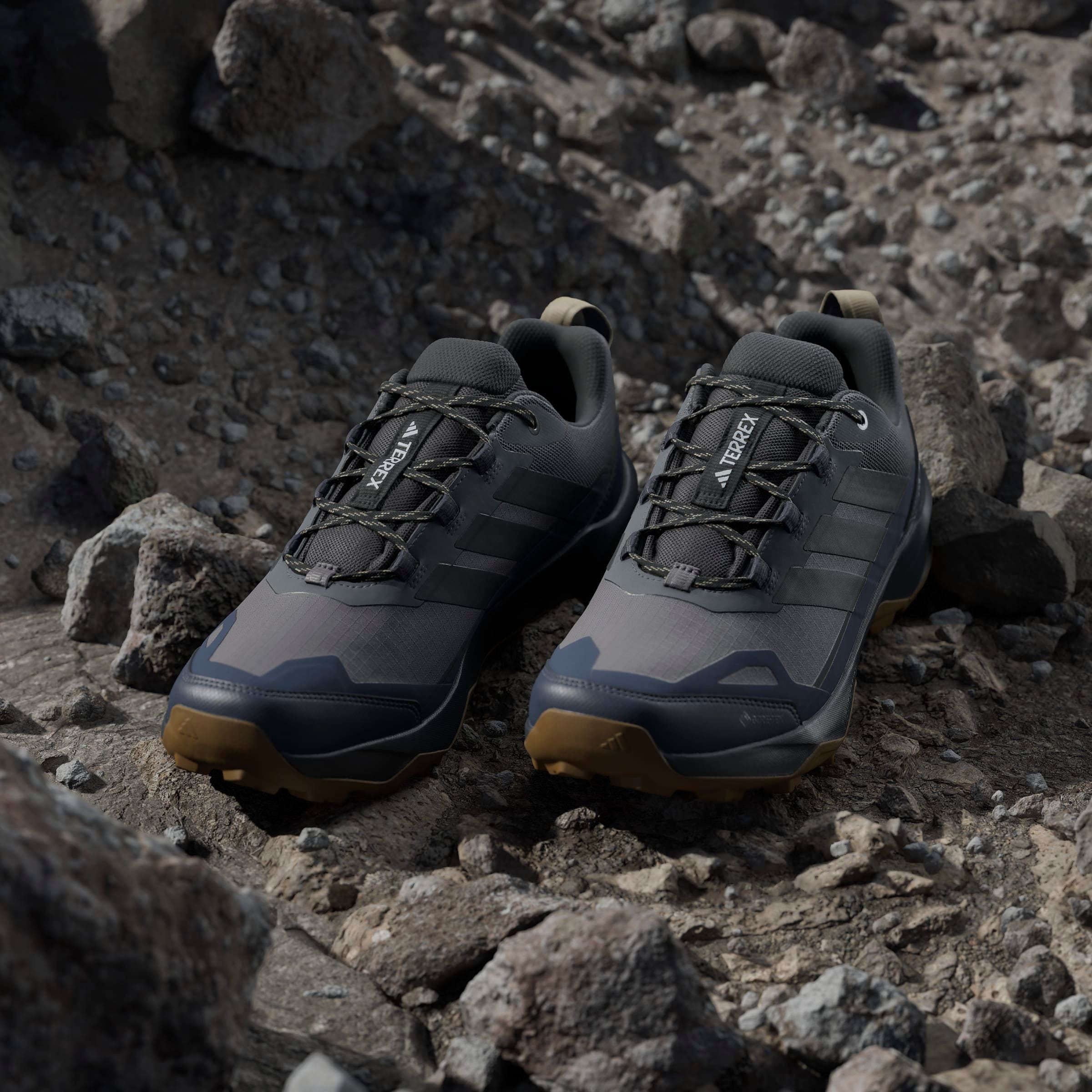 adidas TERREX Wanderschuh »TERREX SKYCHASER AX5 GORE-TEX E«, wasserdicht