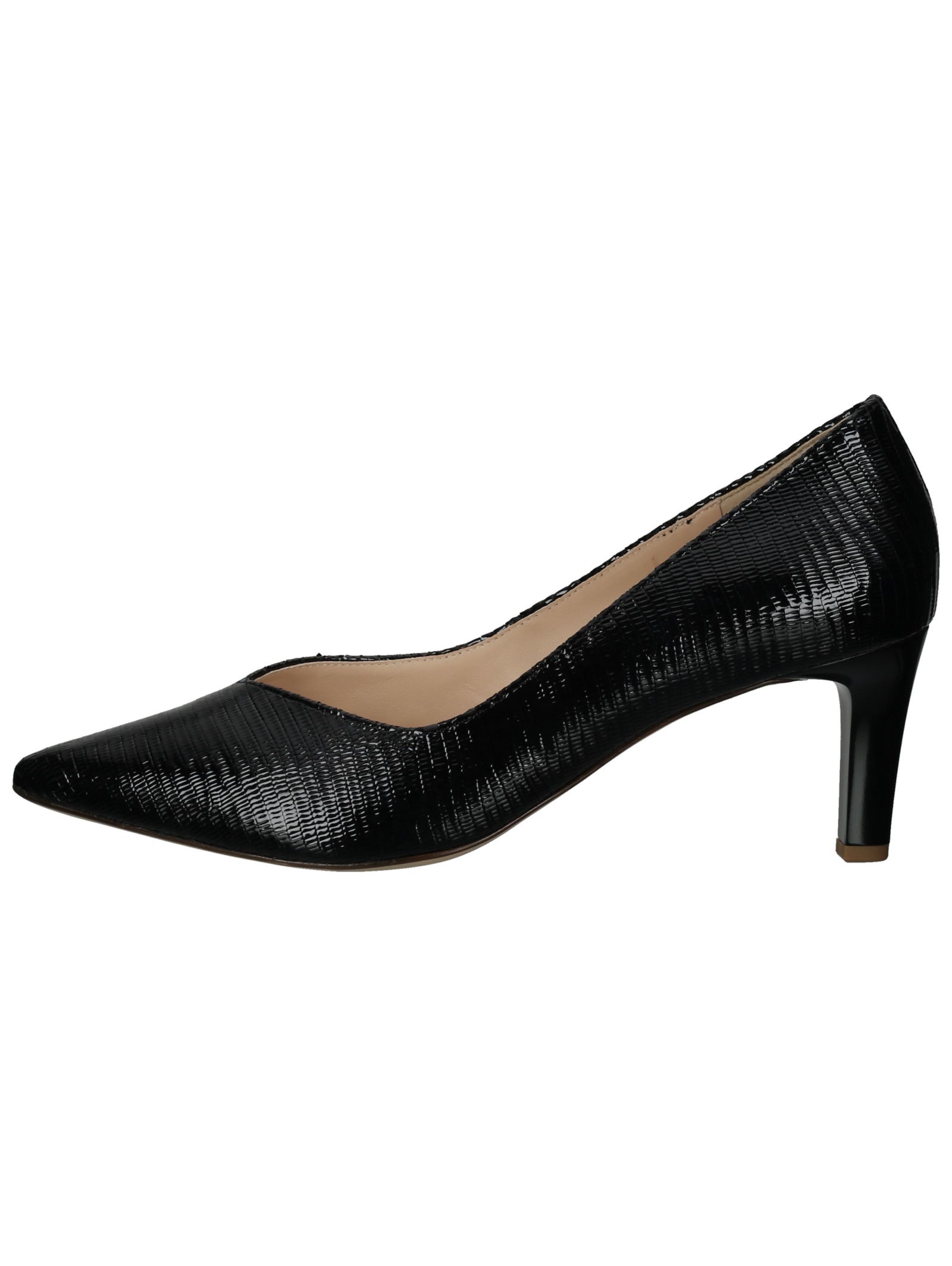 Högl Pumps "Högl Pumps Leder" günstig online kaufen