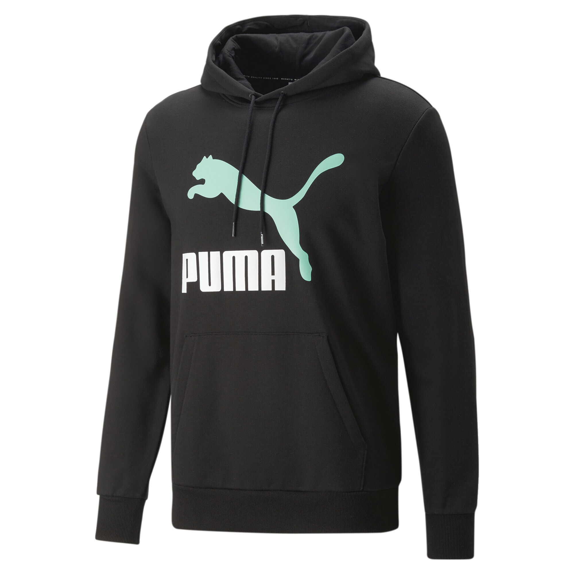 PUMA Sweater »Classics Logo Hoodie Herren« kaufen