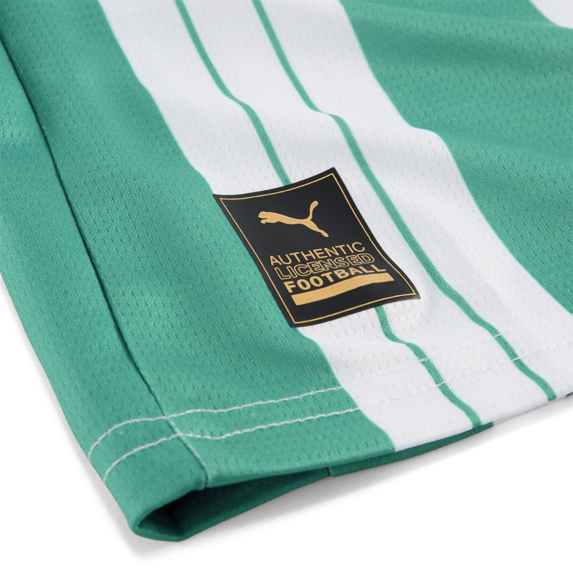 PUMA Trainingsshirt »SK Rapid Wien 25/26 Heimtrikot Jugendliche«