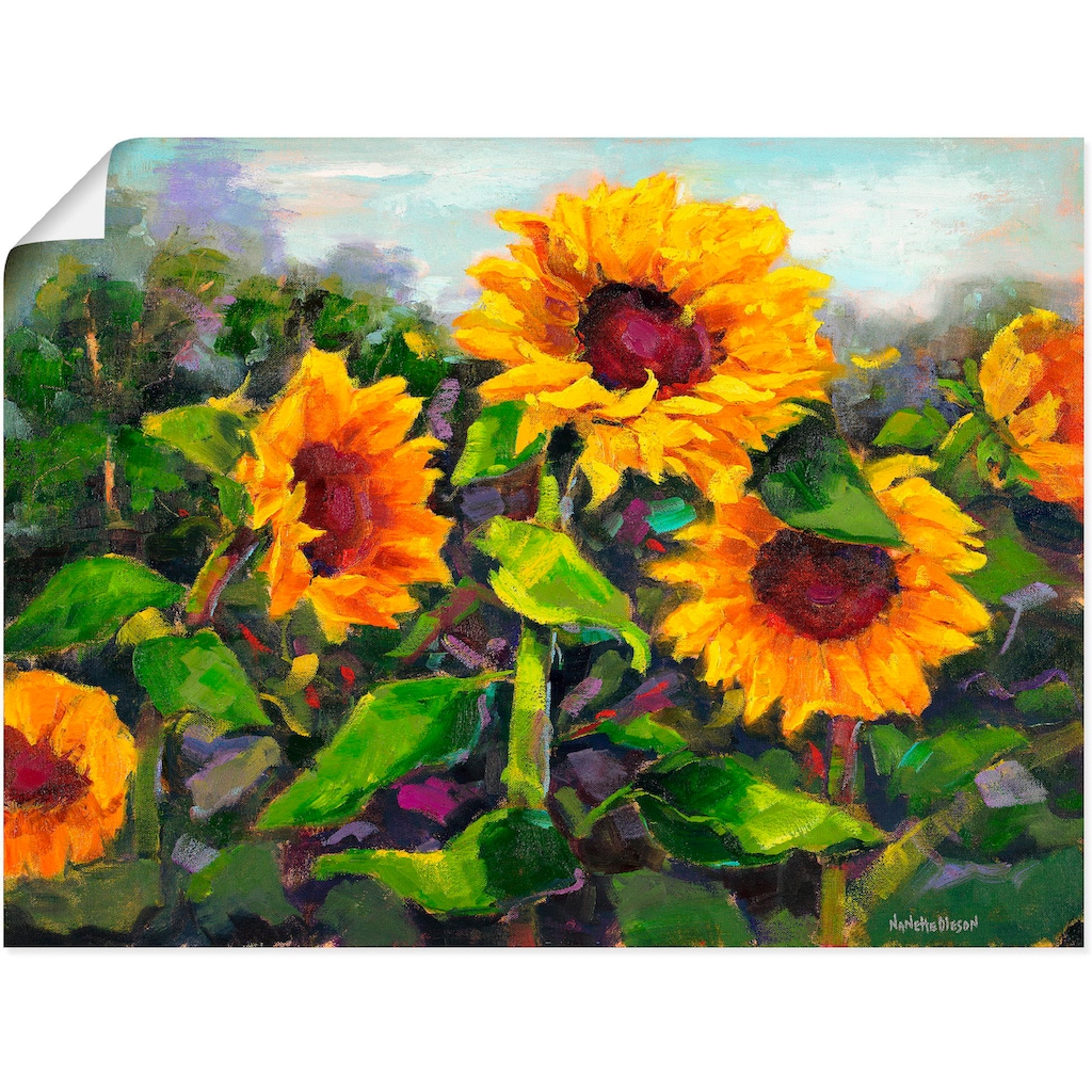 Artland Wandbild »Das Erwachen der Sonnenblumen IV«, Blumen, (1 St.)