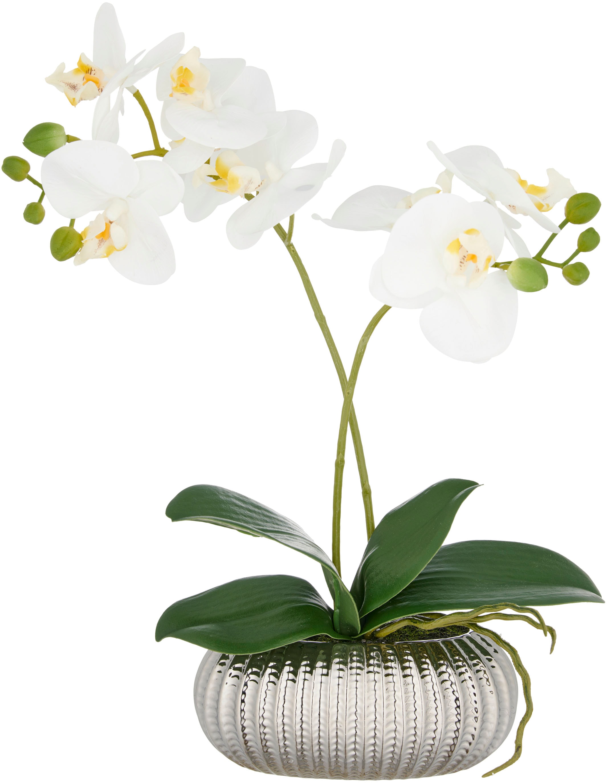 Creativ green Kunstorchidee "Orchidee Phalaenopsis", mit real-touch-Blüten günstig online kaufen