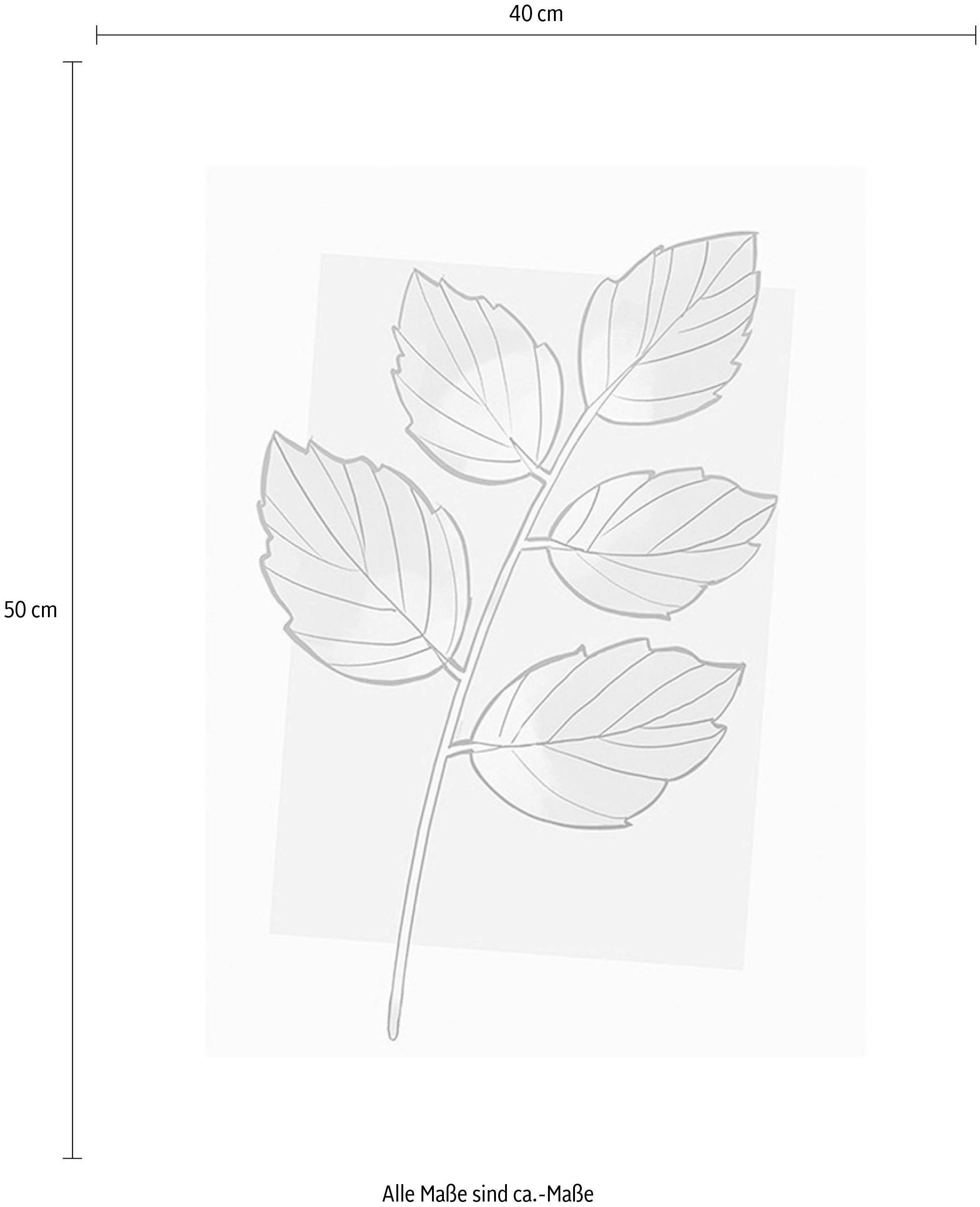 Komar Bild »Cinderella Plant«, Disney, (1 St.), Wandbild zur Dekoration im Kinderzimmer - ohne Rahmen